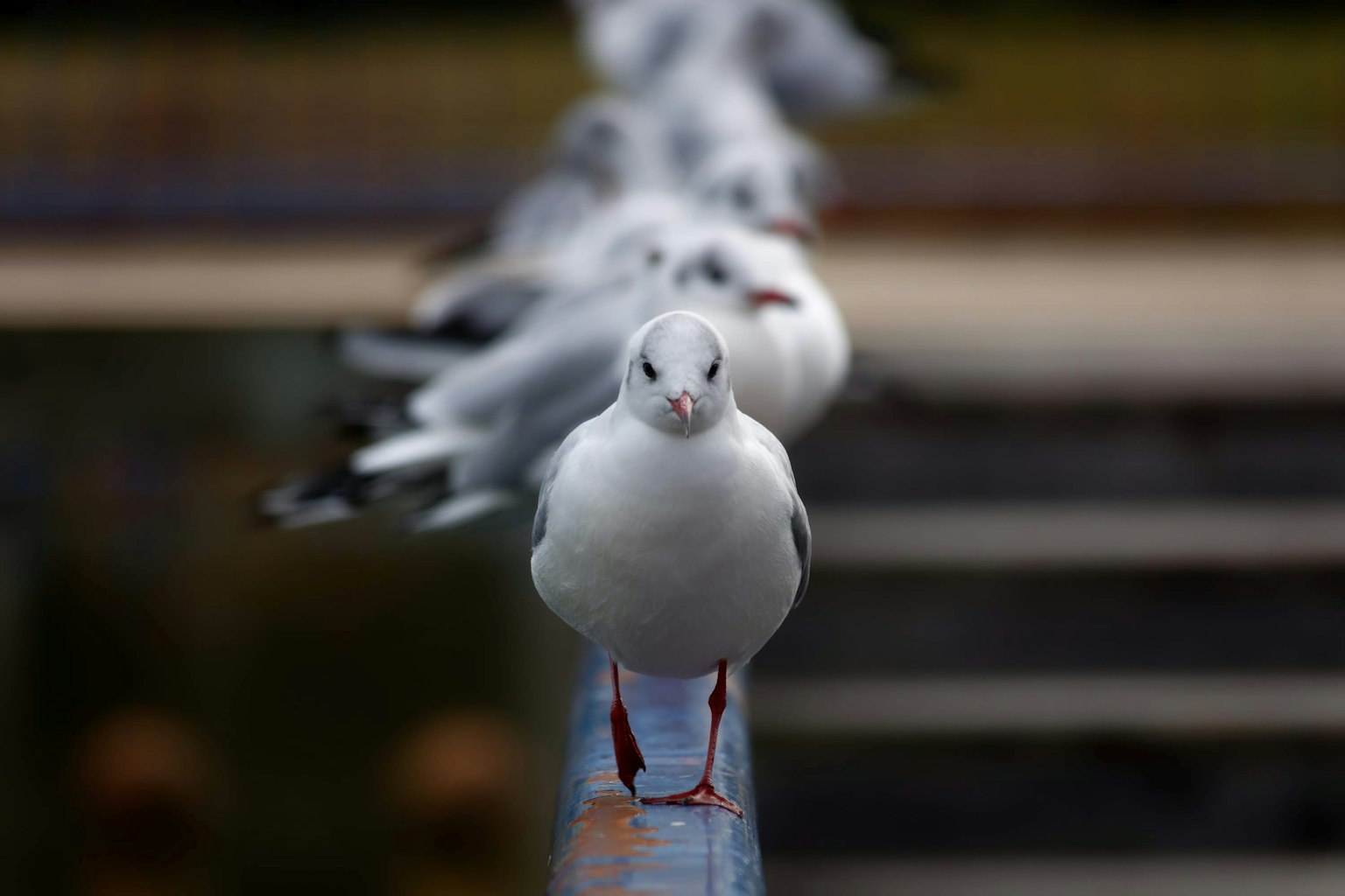 photo-49me29SM9u5YhGBxAt4n-image