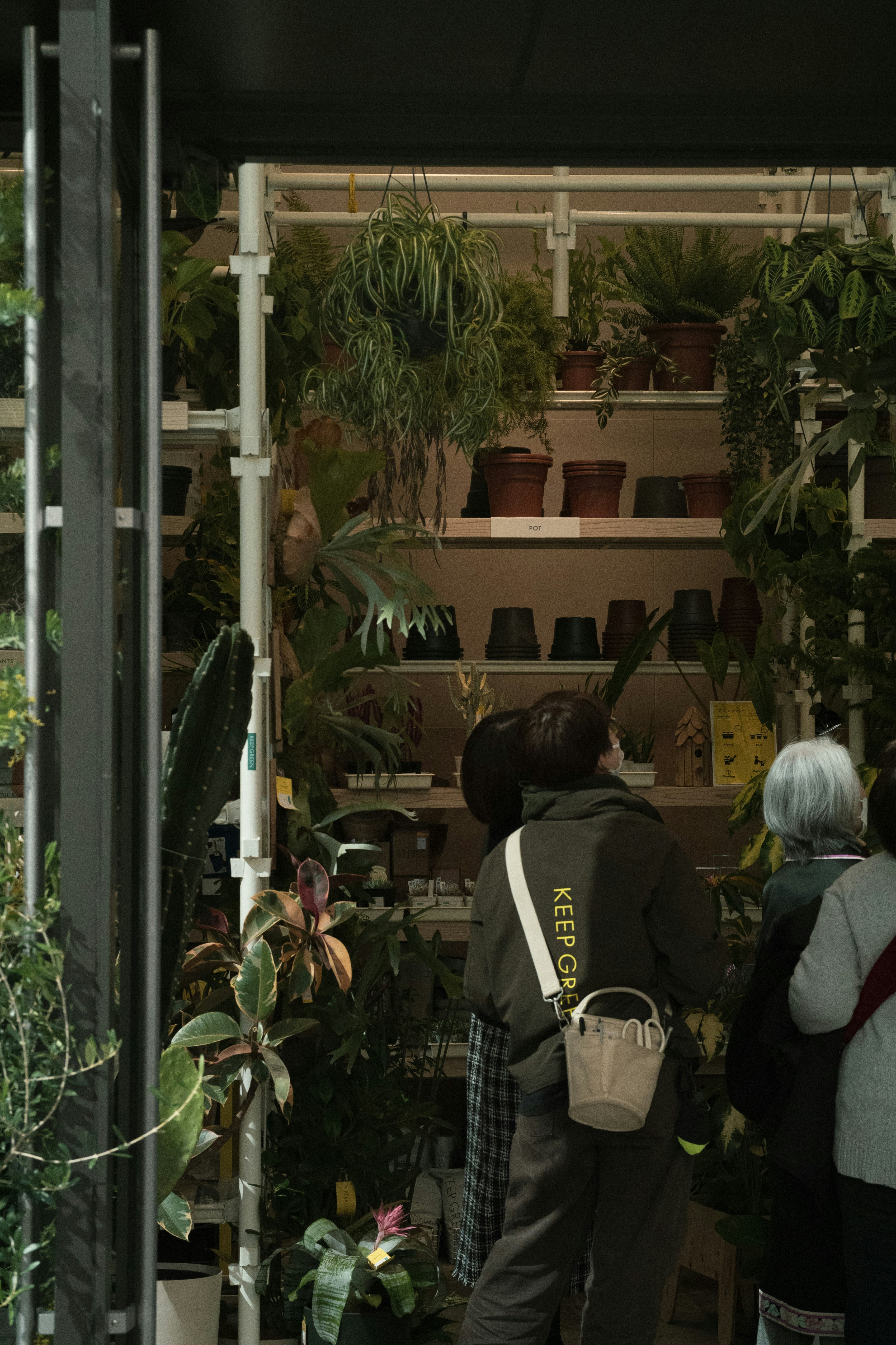 植物棚のある小さな店先で買い物する人々