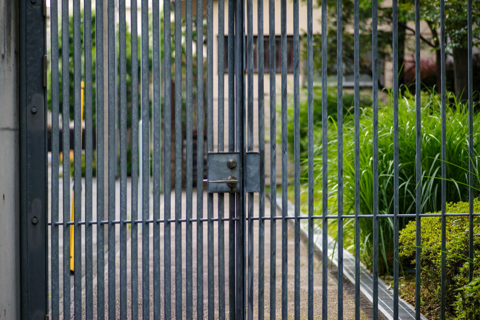 Close-up of a metal gate surrounded by green plants
