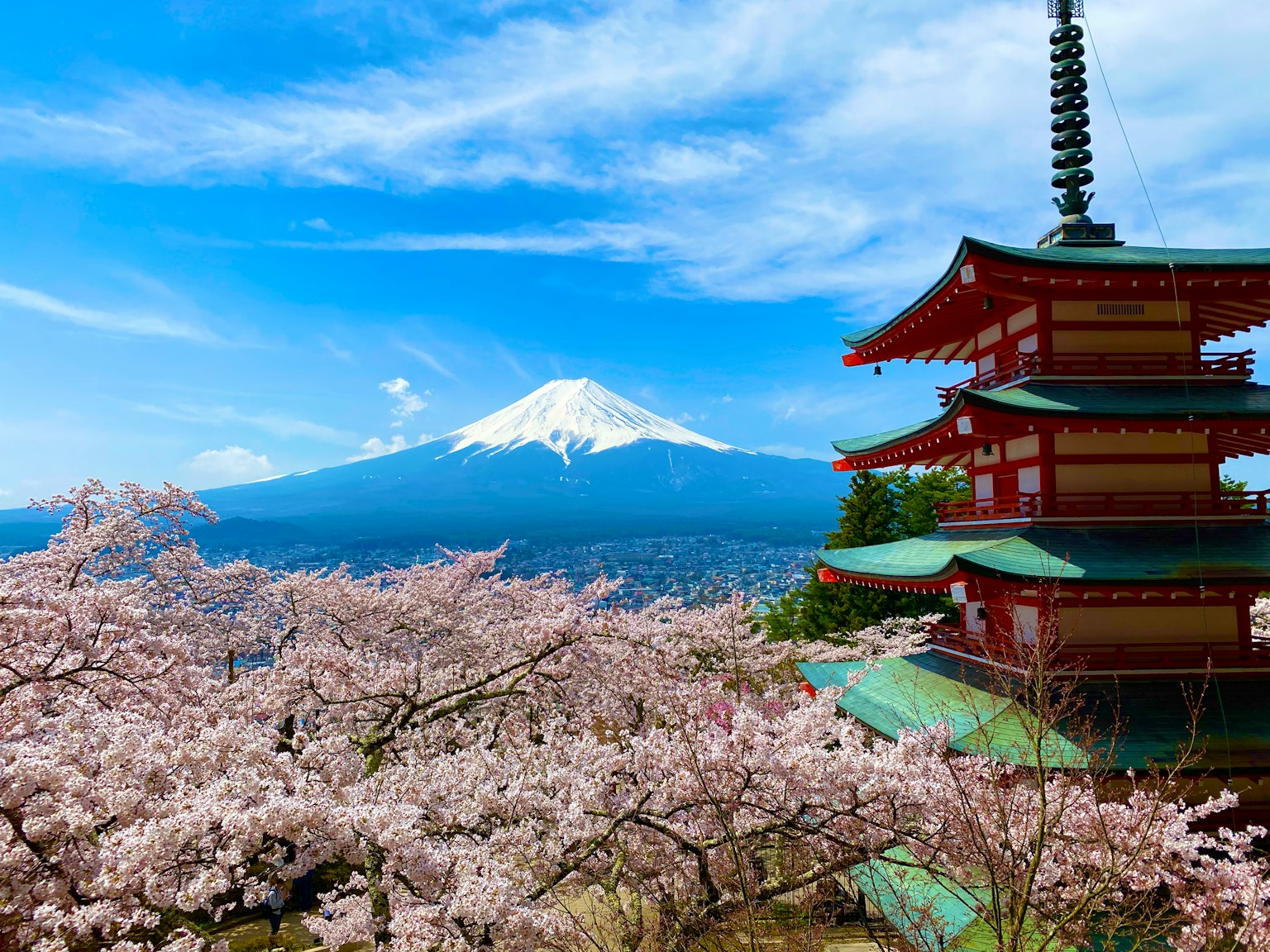 Hermoso paisaje con cerezos en flor y el monte Fuji con una pagoda