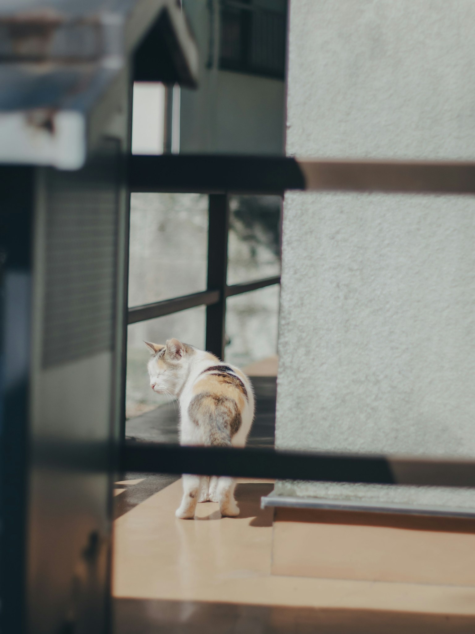 photo-4AzKxmCTYDY6V7MGTN0b-image