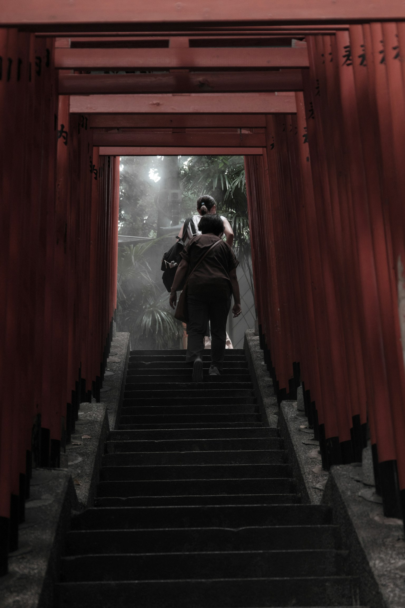 人们在红色鸟居隧道中上楼梯
