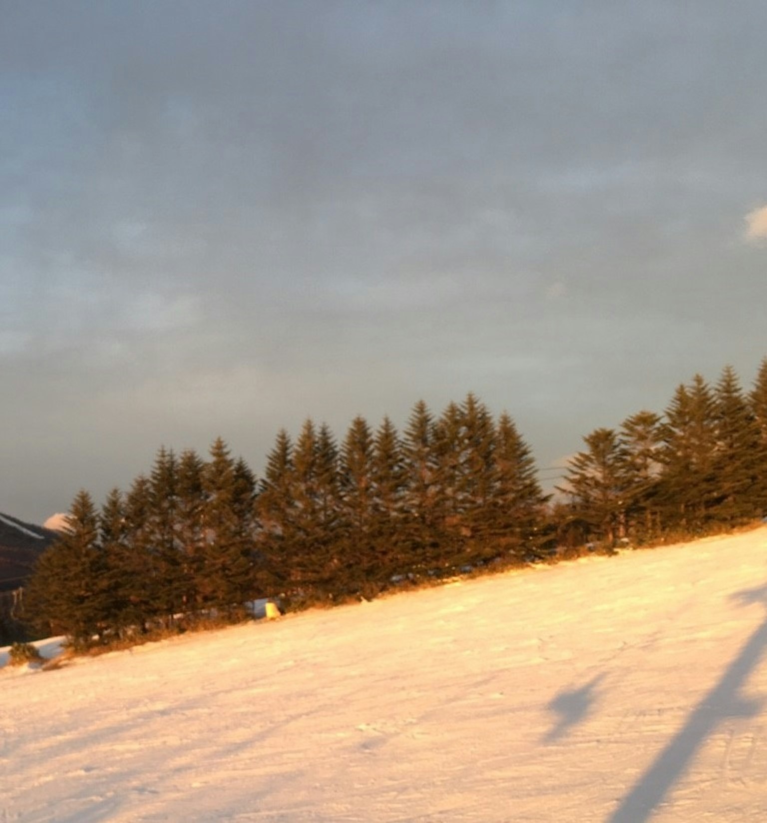 Pendiente nevada con árboles en silueta iluminados por la puesta de sol