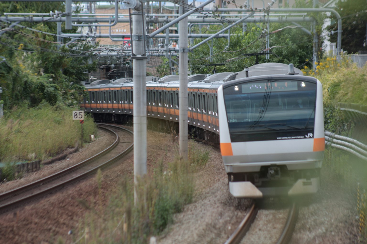 Treno che percorre un binario curvo circondato da vegetazione