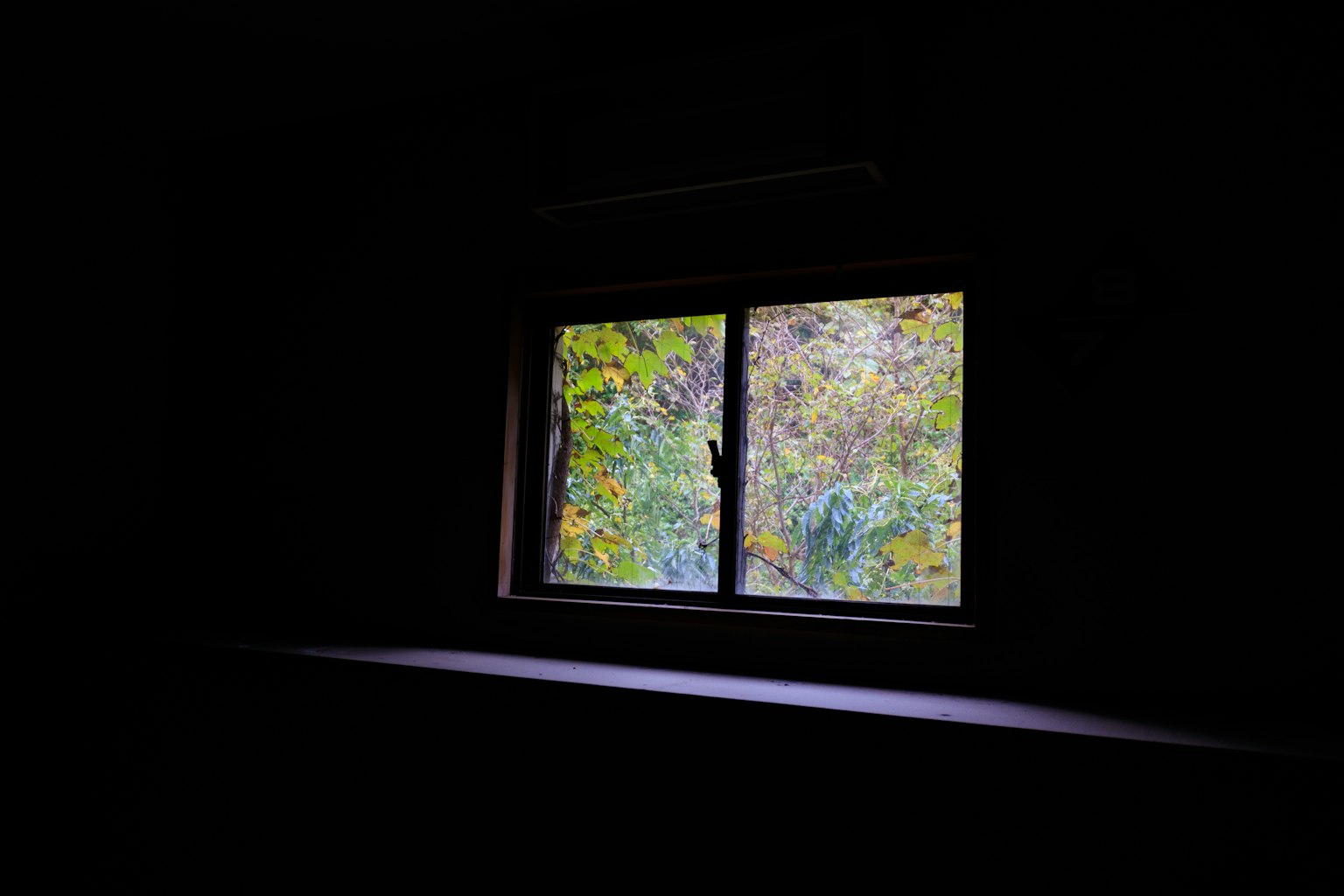 Una stanza poco illuminata con una finestra che mostra un fogliame colorato