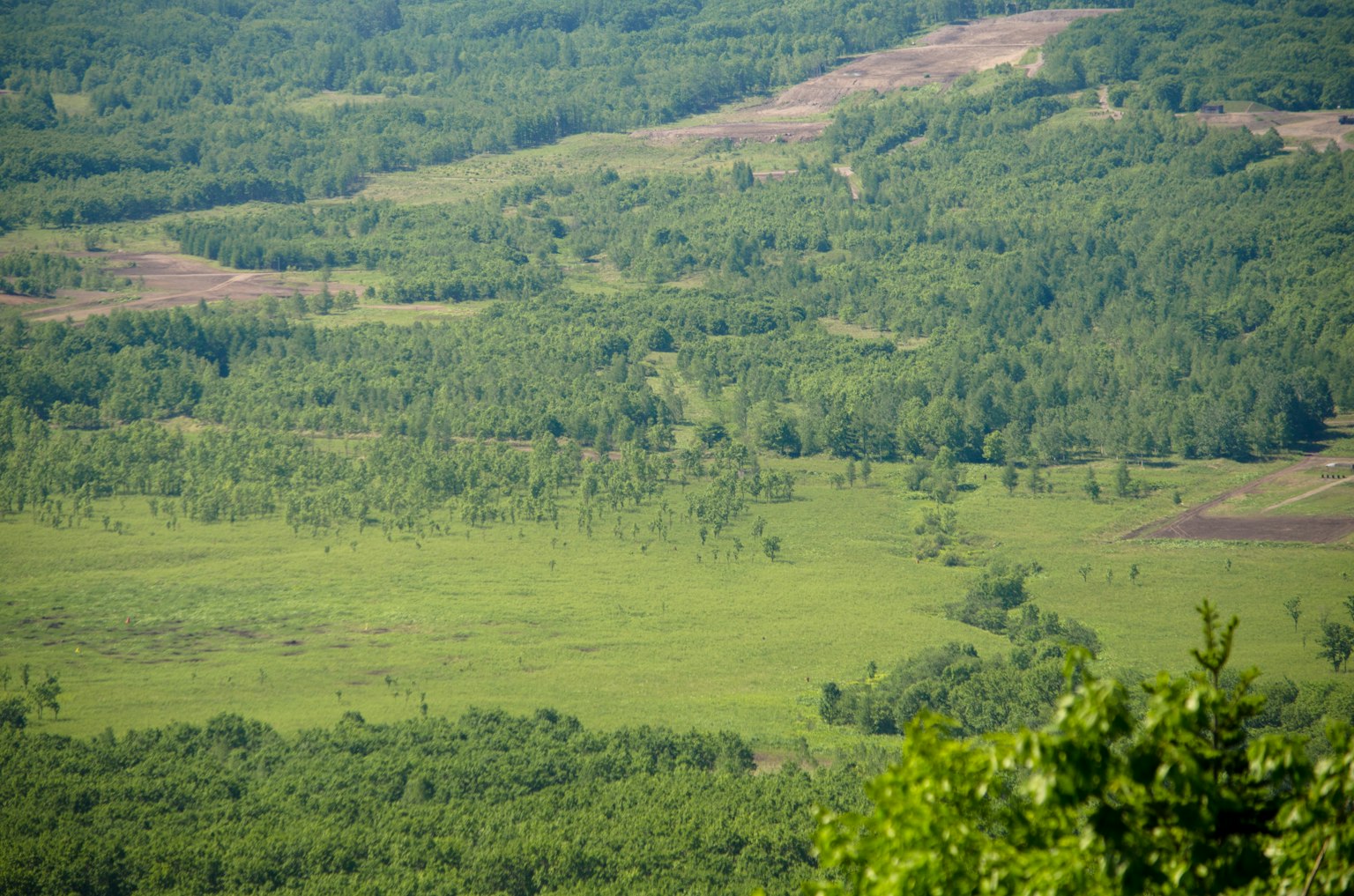 Üppige grüne Landschaft mit Feldern und Wäldern