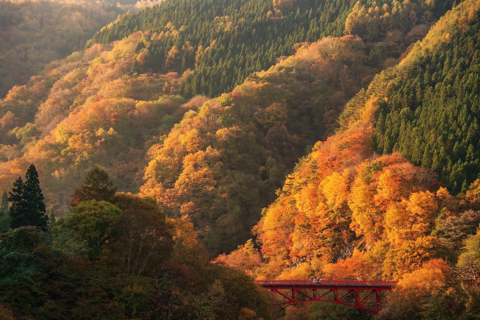 ทิวทัศน์ฤดูใบไม้ร่วงที่สวยงามพร้อมใบไม้หลากสีบนภูเขาและสะพานสีแดง
