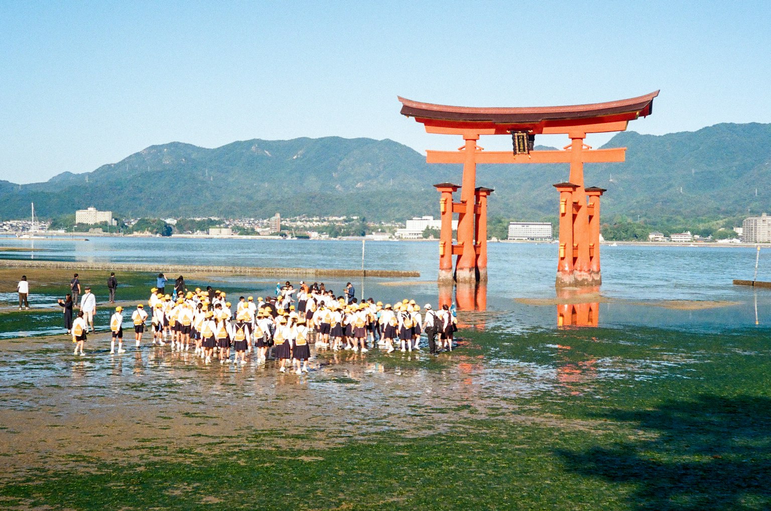 Cổng torii đỏ đứng trong biển với một nhóm người xung quanh