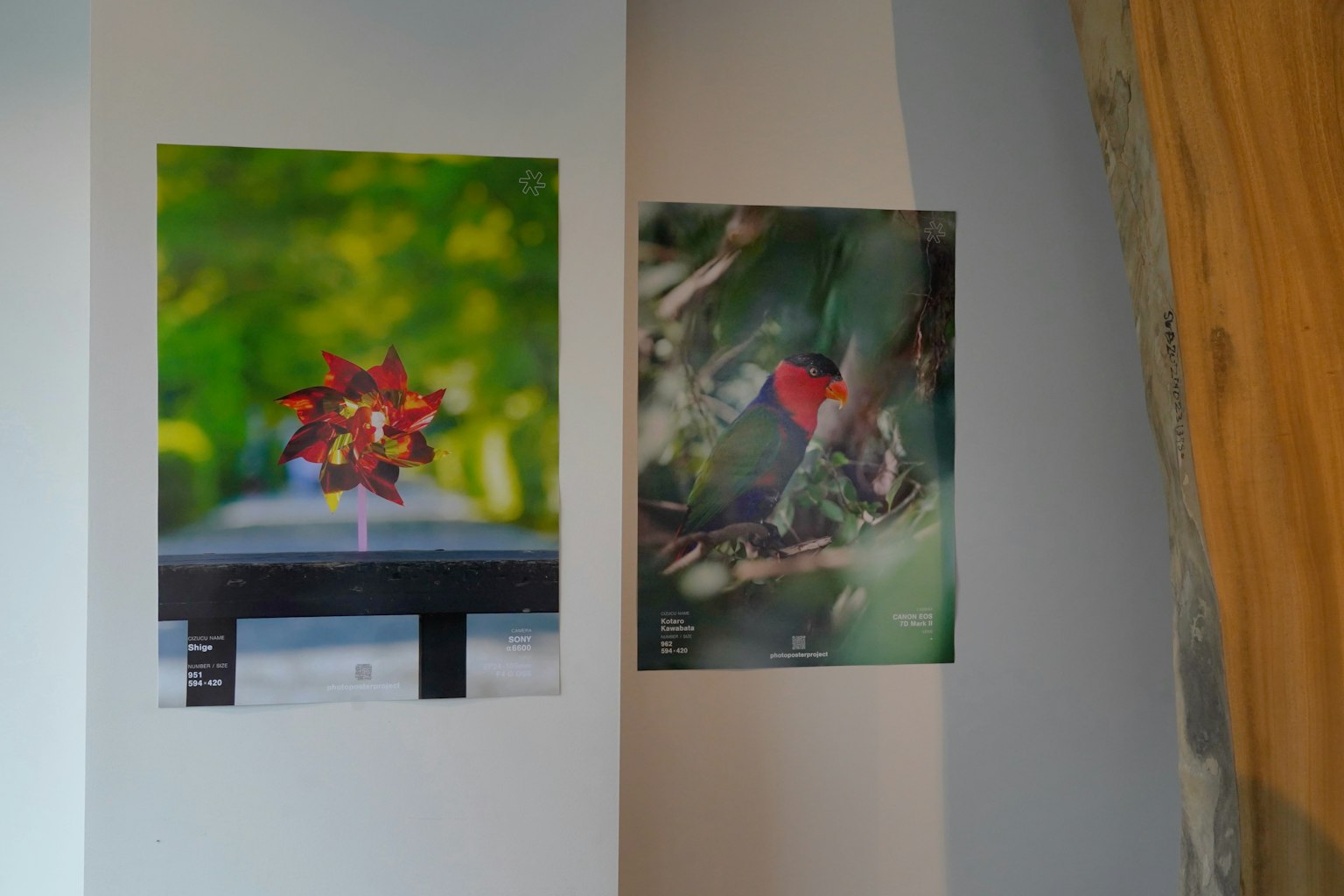 Eine Ecke eines Raumes mit einem Blumenposter und einem Vogelposter an der Wand