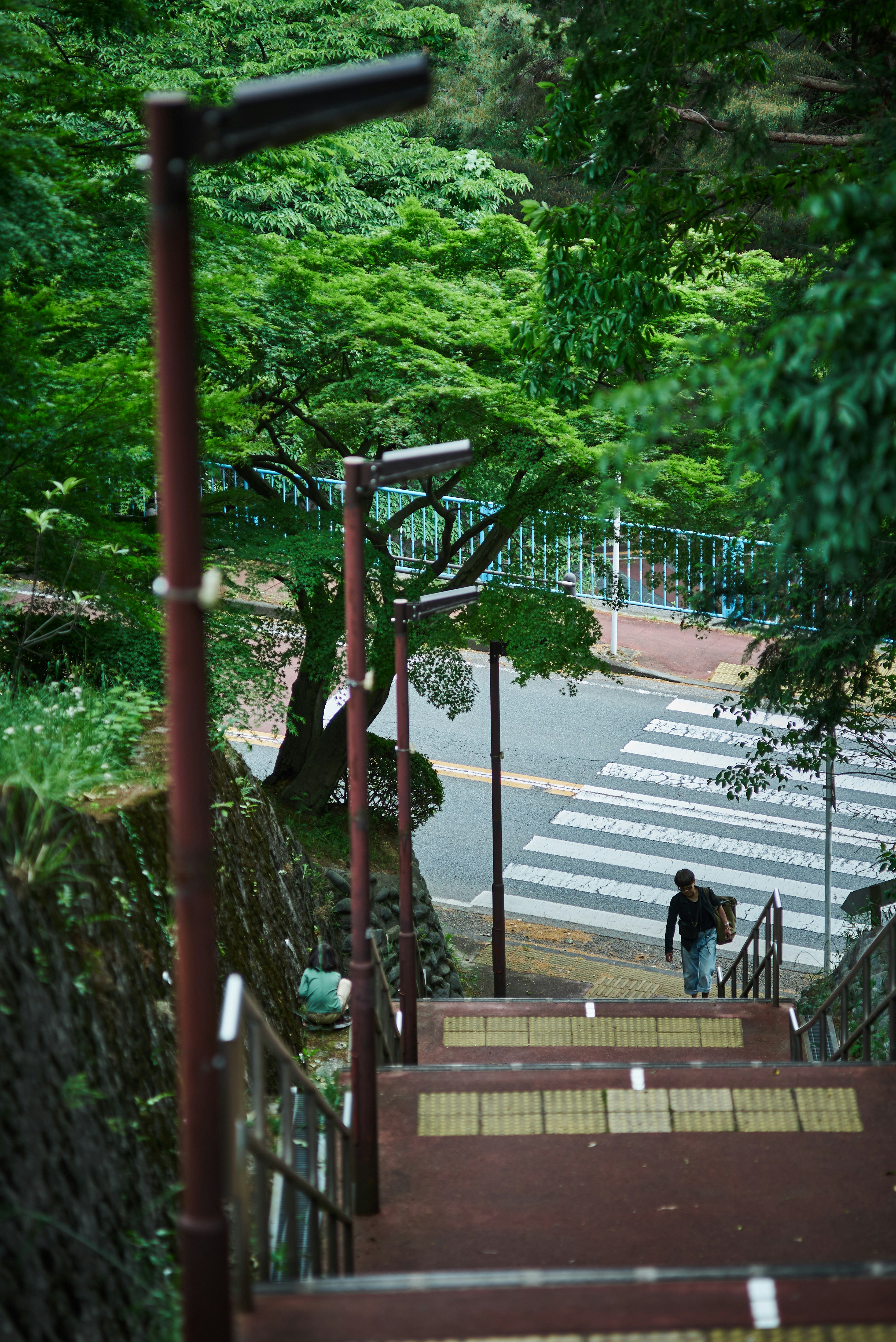 登り坂のある緑豊かな遊歩道と階段の風景