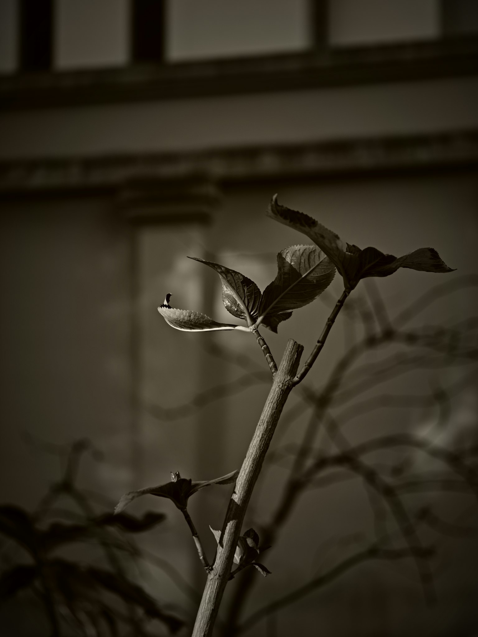 photo-4DXMgv4gpPo6sbQrhwN2-image