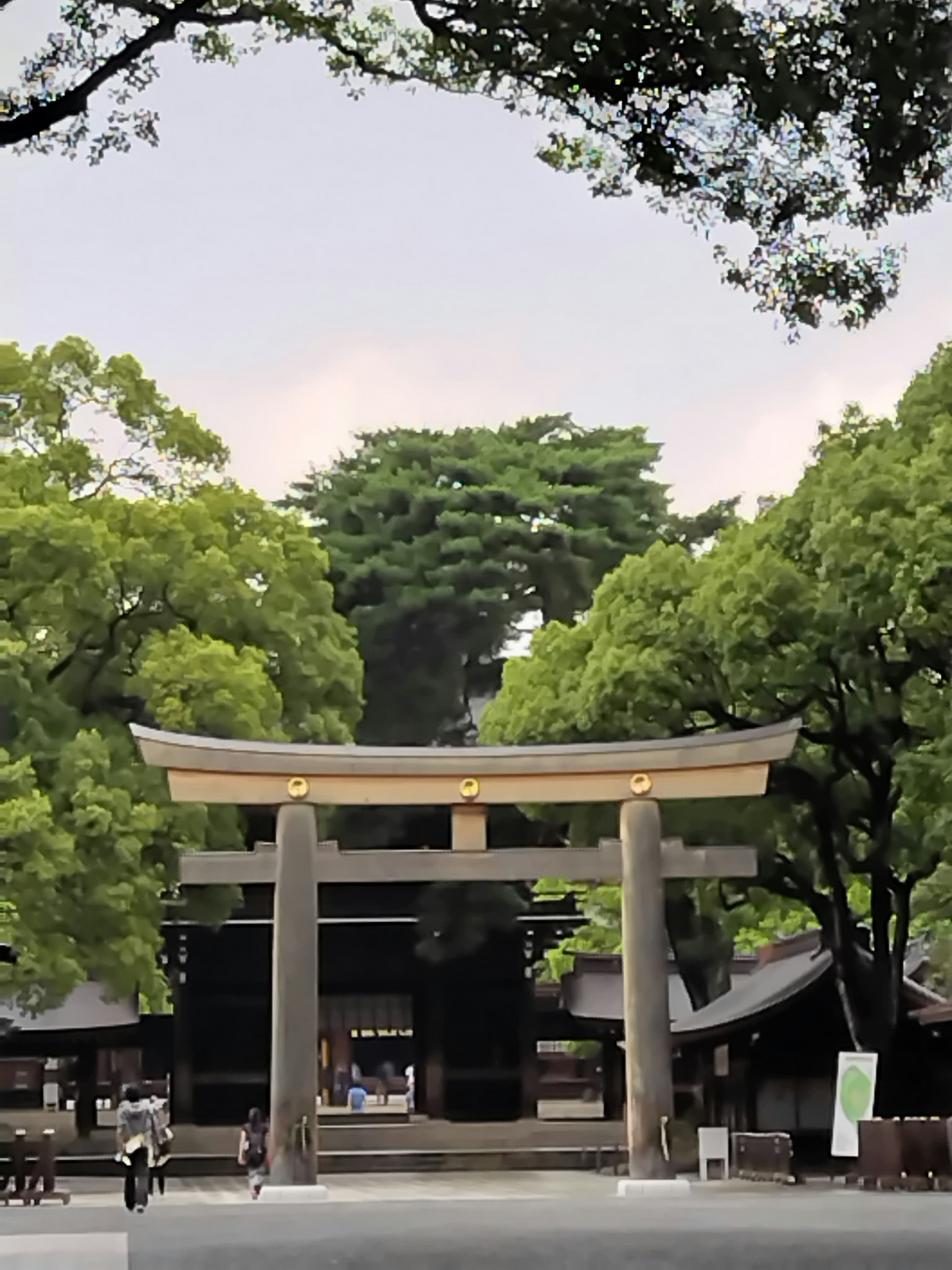 被郁郁葱葱的树木环绕的神社入口和鸟居