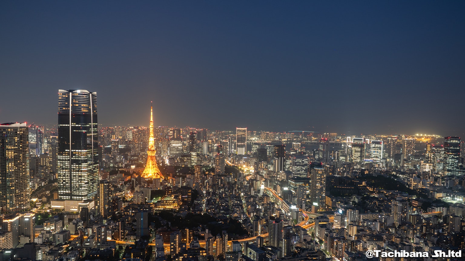 Tokyo Tower beleuchtet im nächtlichen Skyline von Tokio mit Wolkenkratzern und Stadtlichtern