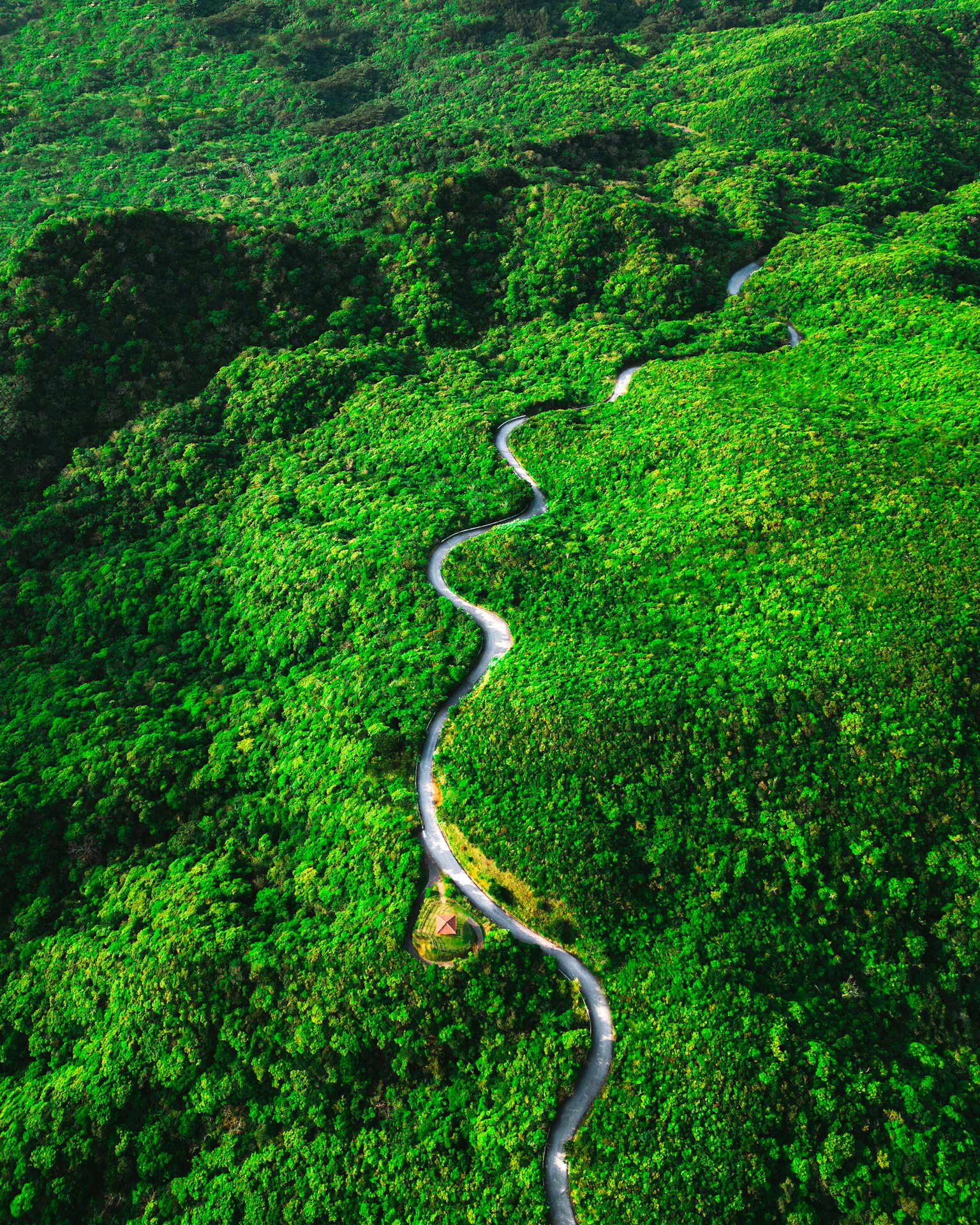 Vista aérea de montañas verdes con una carretera sinuosa
