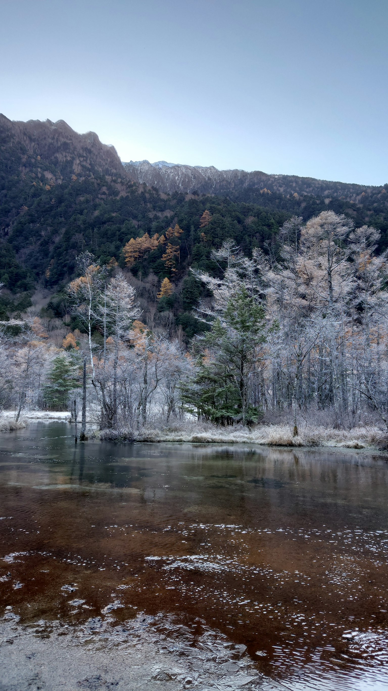 Paesaggio invernale con fiume ghiacciato e alberi ghiacciati