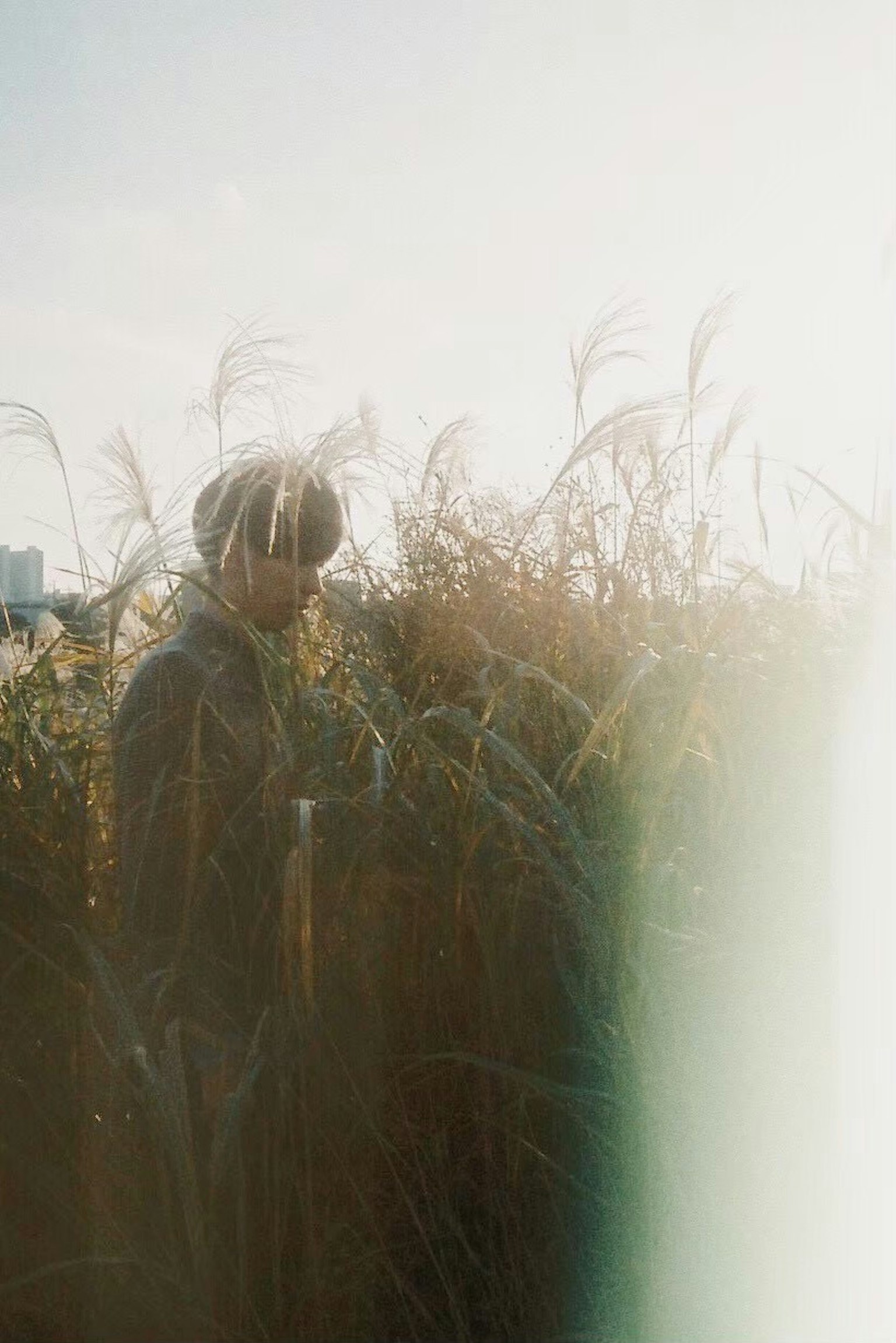 Person steht in einem grasbewachsenen Feld mit sonnigem Hintergrund