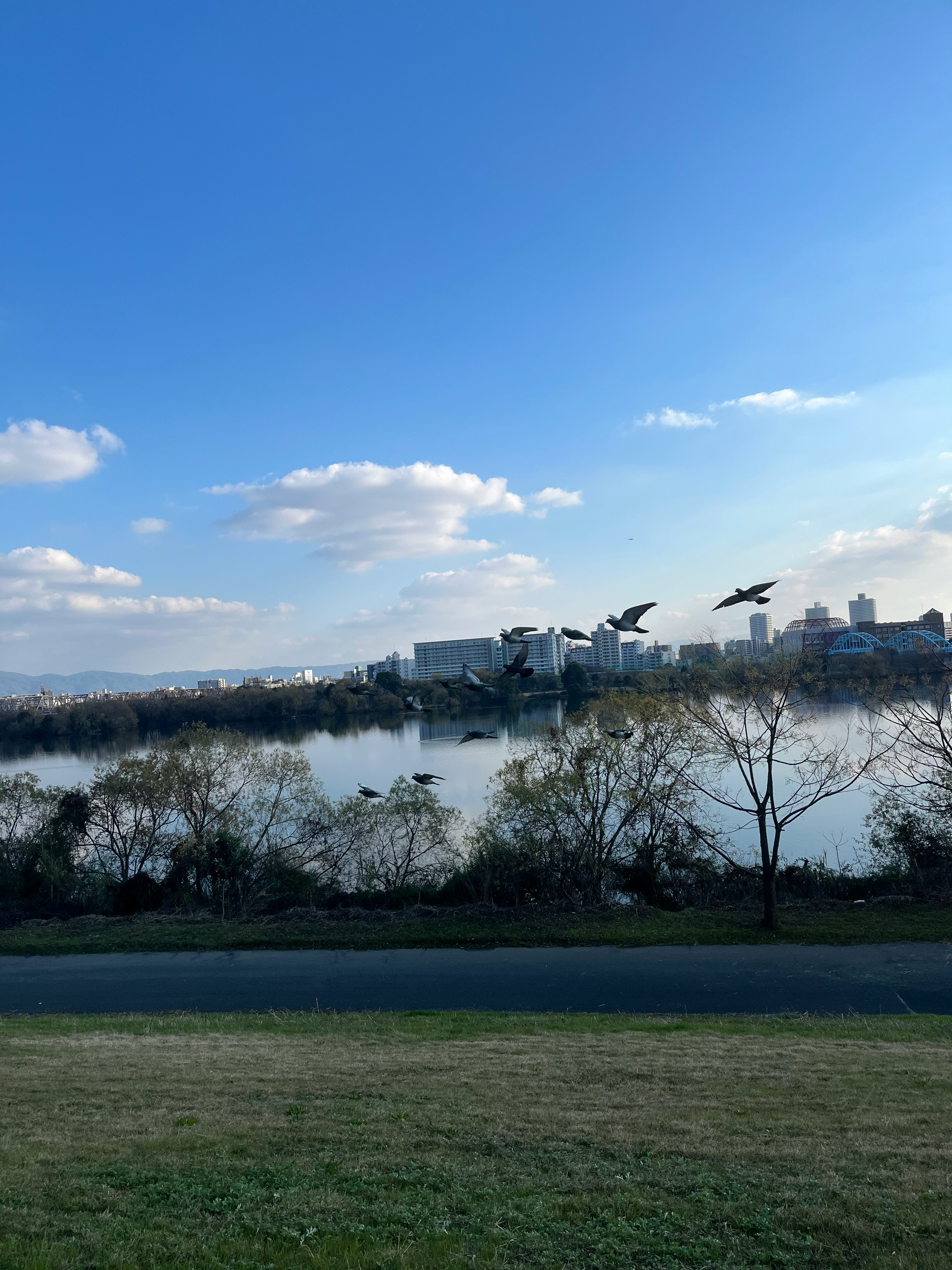 川沿いの広い公園と遠景の都市のスカイライン