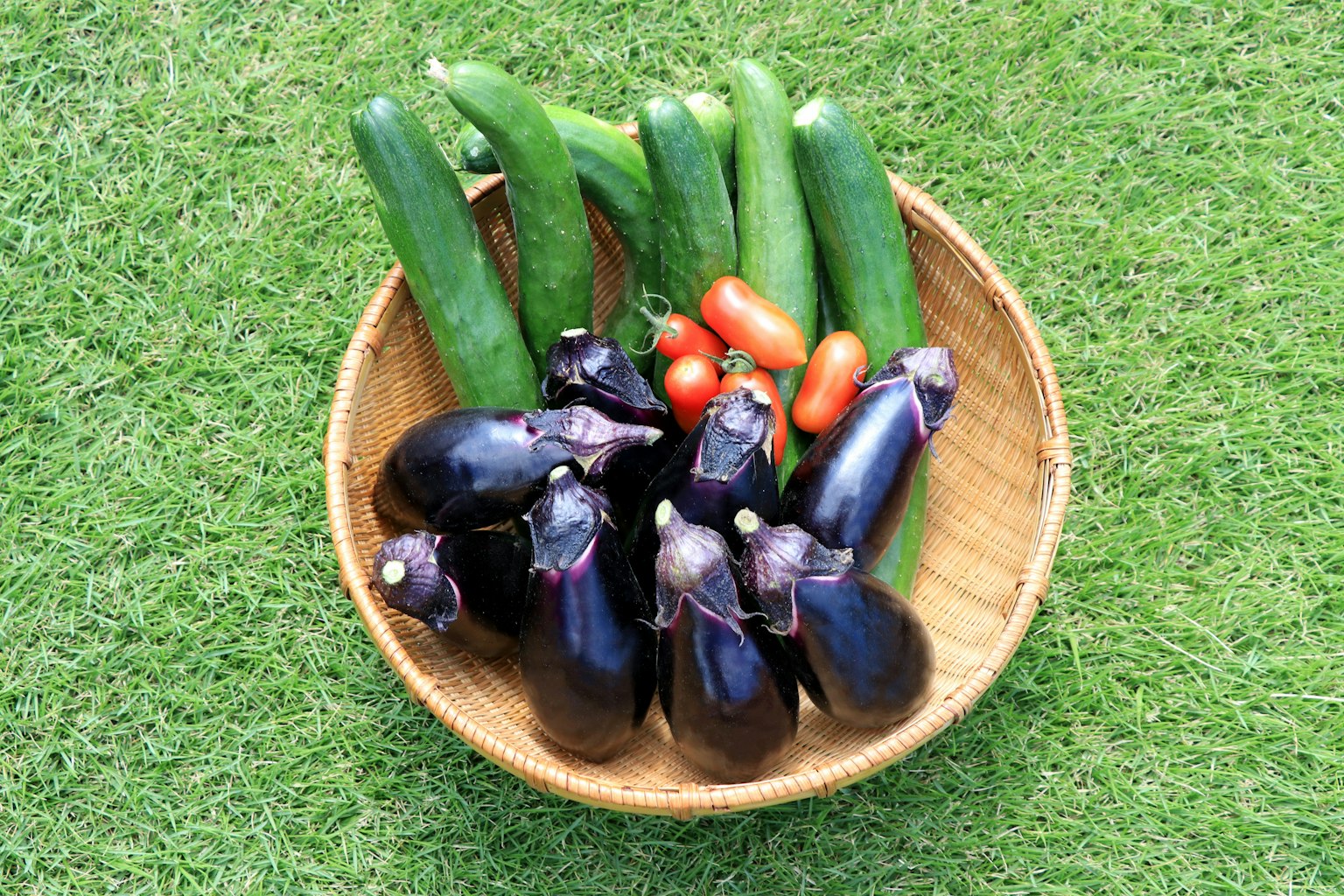 바구니에 담긴 가지 호박과 체리 토마토