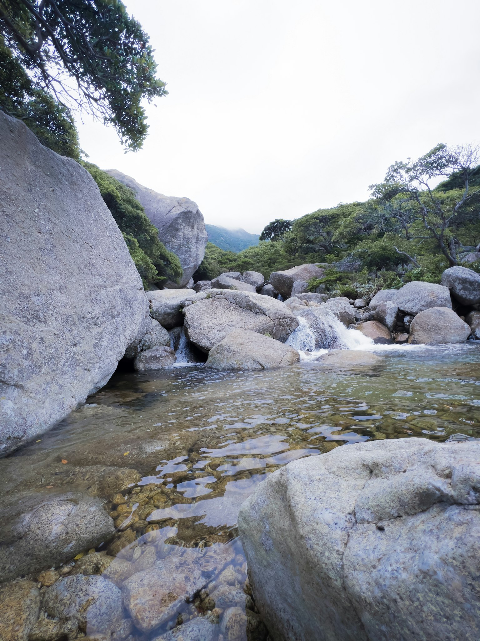 風景如畫的河流景觀 大石頭散落在岸邊 淺水中可見卵石 周圍綠意盎然