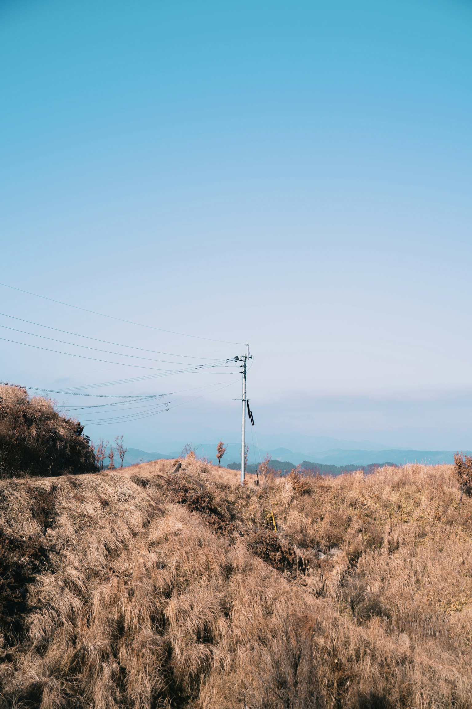 Un poteau électrique se tenant sur un champ de gazon sec sous un ciel bleu clair