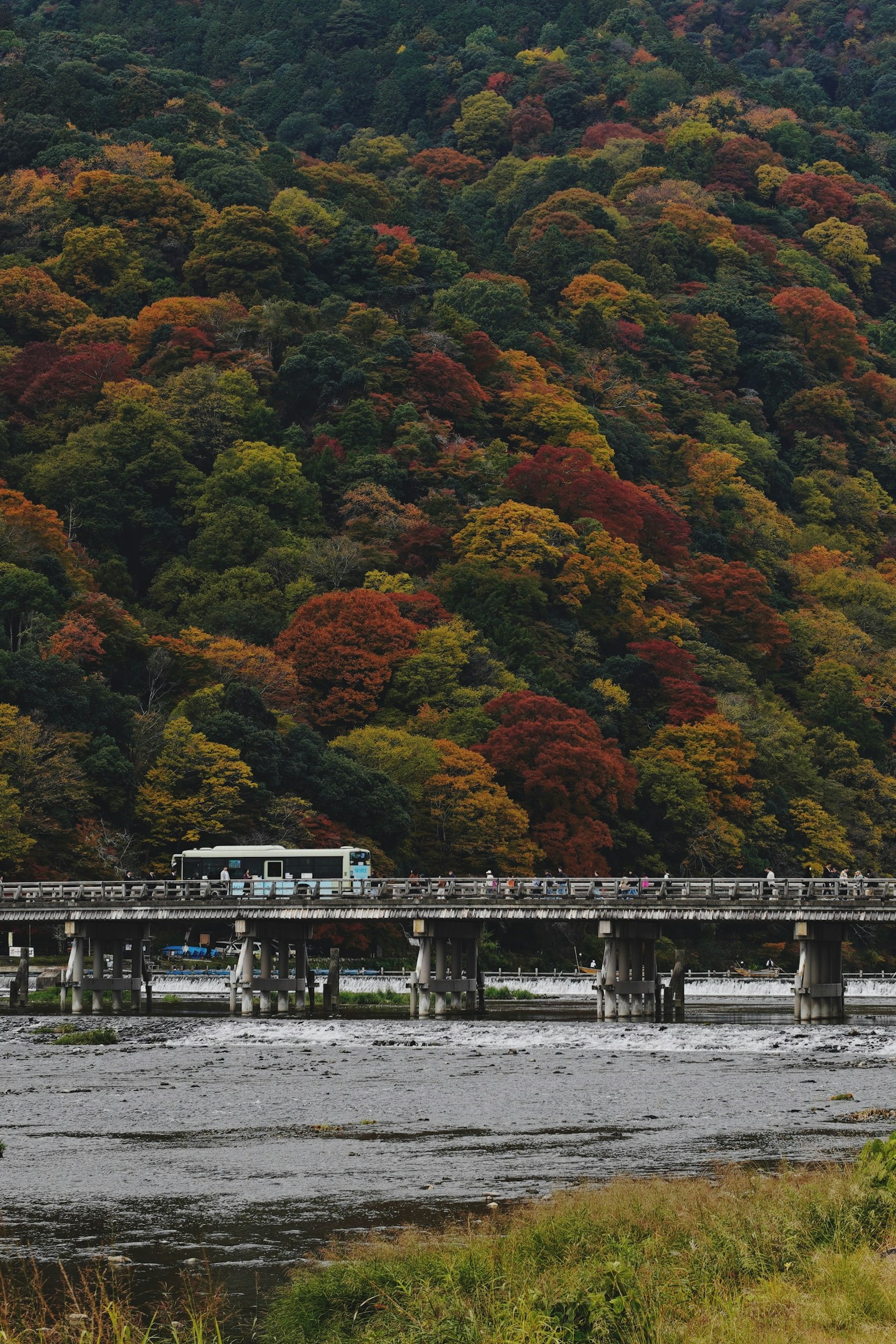 A bus crossing a bridge surrounded by colorful autumn foliage