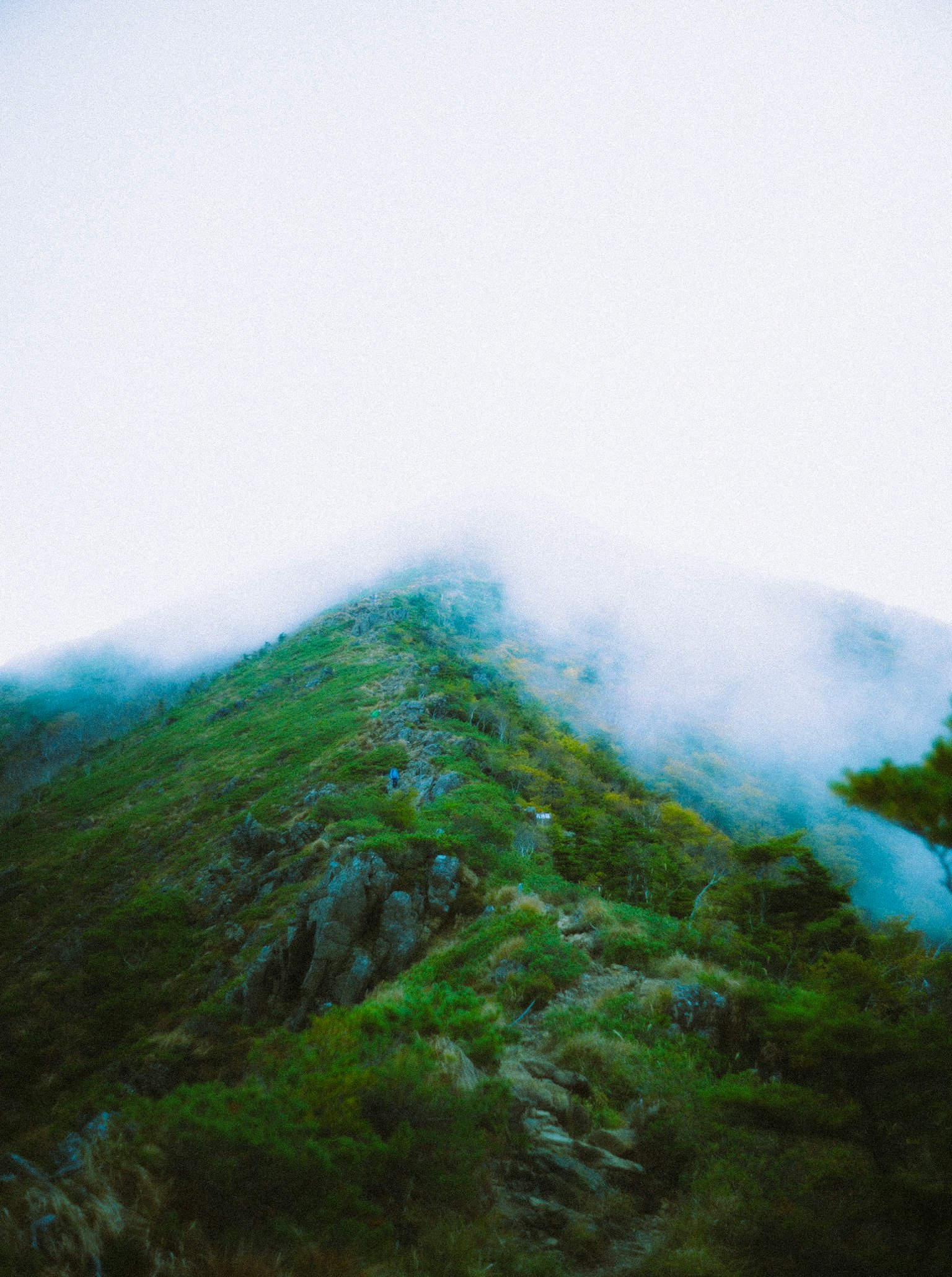 霧に包まれた緑の山の頂上の風景