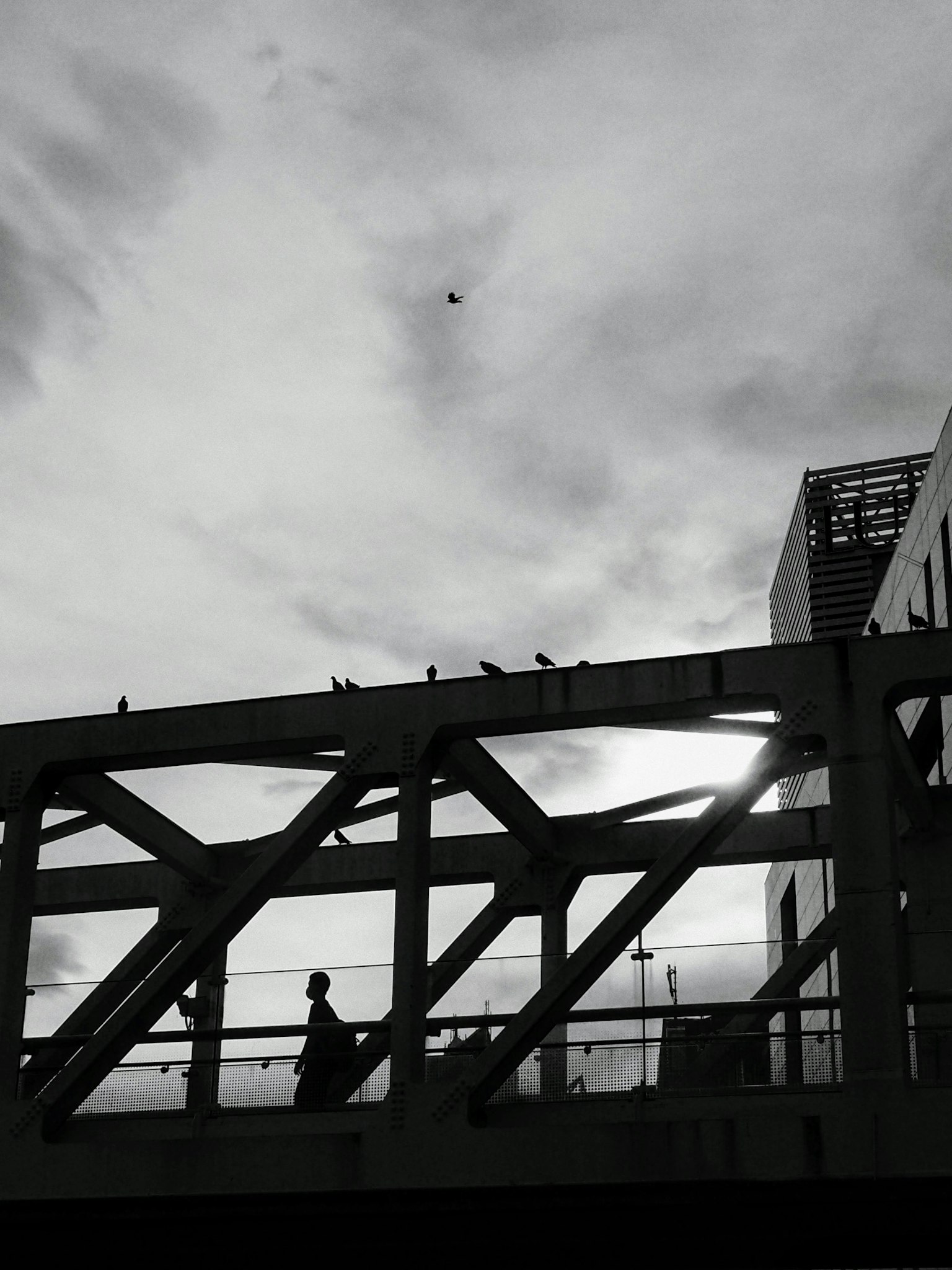 Silhouette einer Person auf einer Brücke mit Vögeln darüber