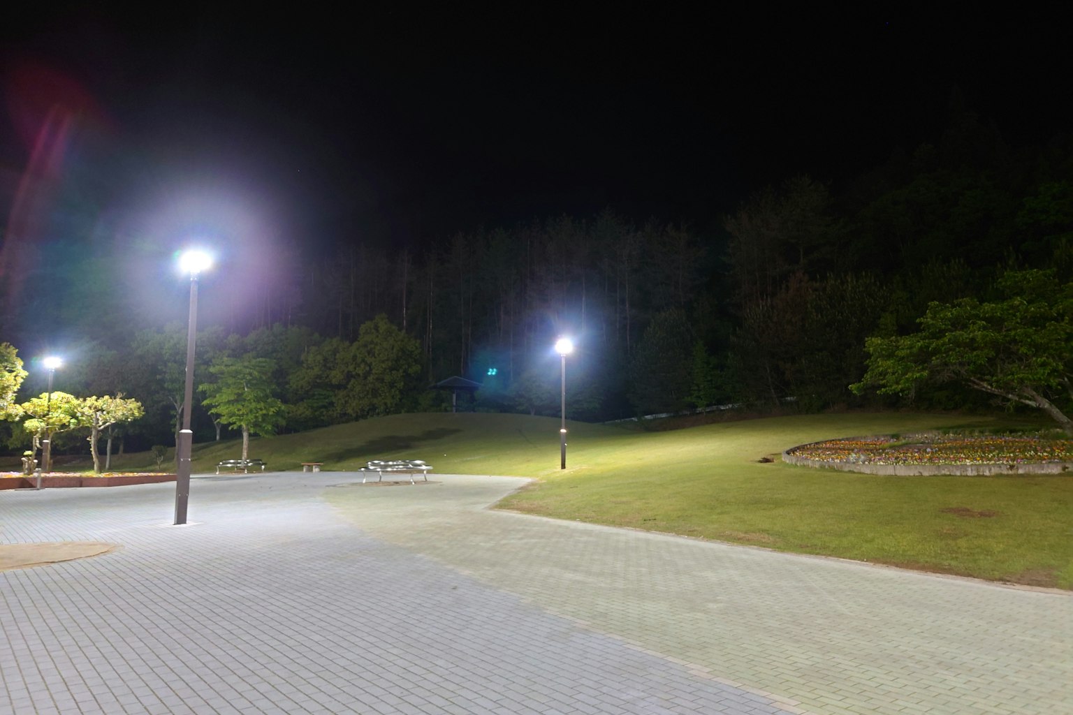 Scena notturna di un parco con lampioni illuminati e collina verde