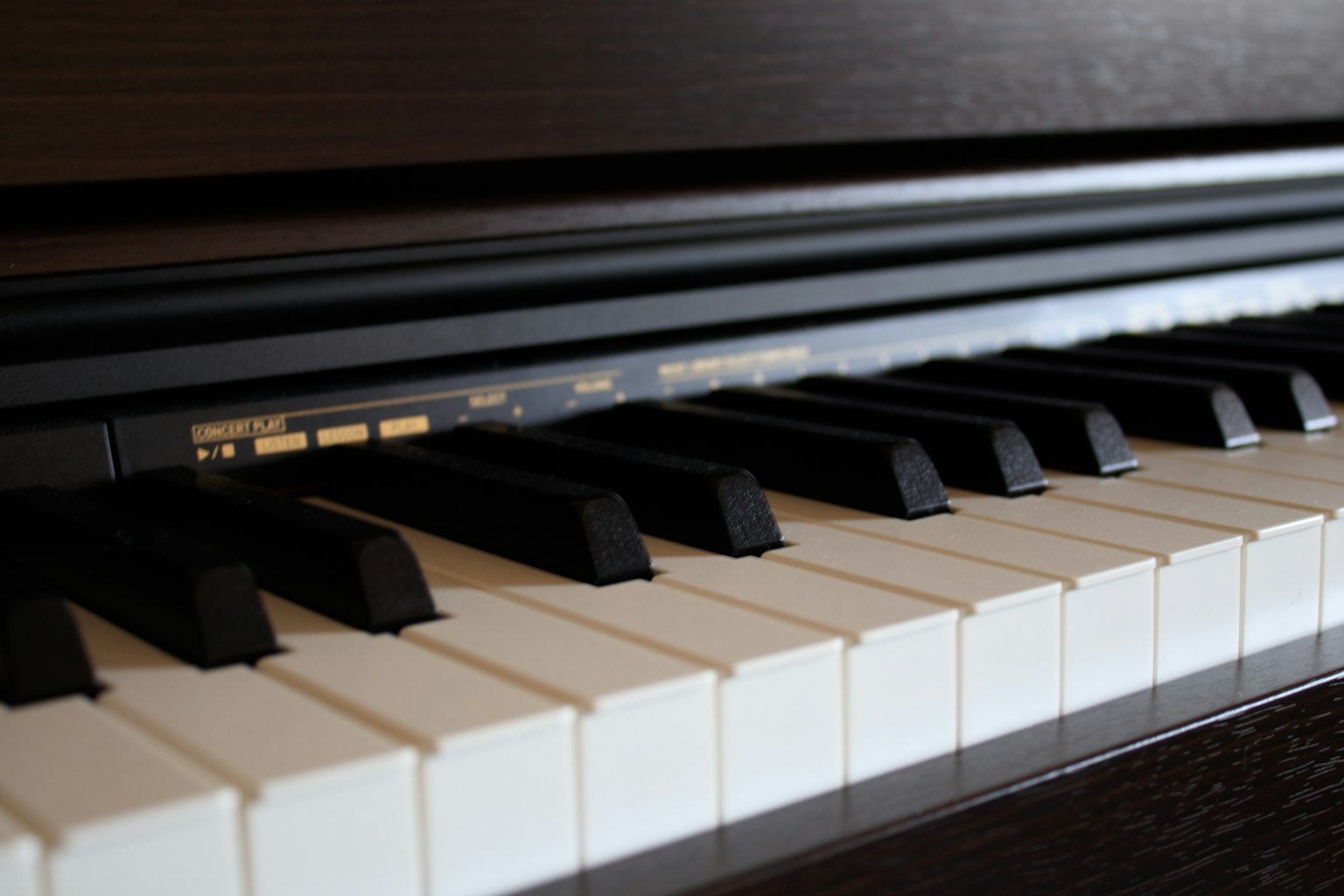 Primo piano dei tasti di un pianoforte con tasti neri e bianchi