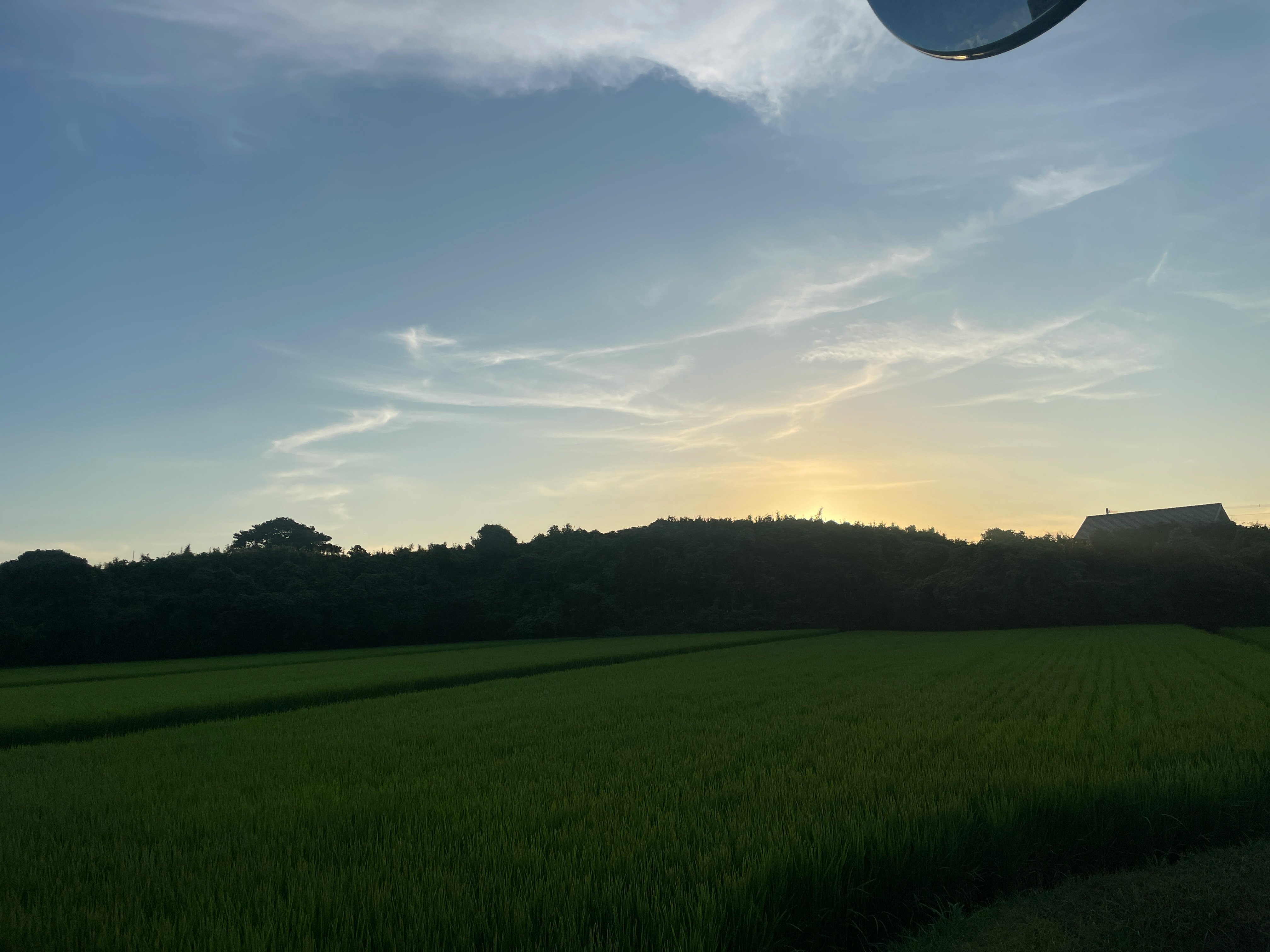 夕暮れの田園風景と森のシルエット