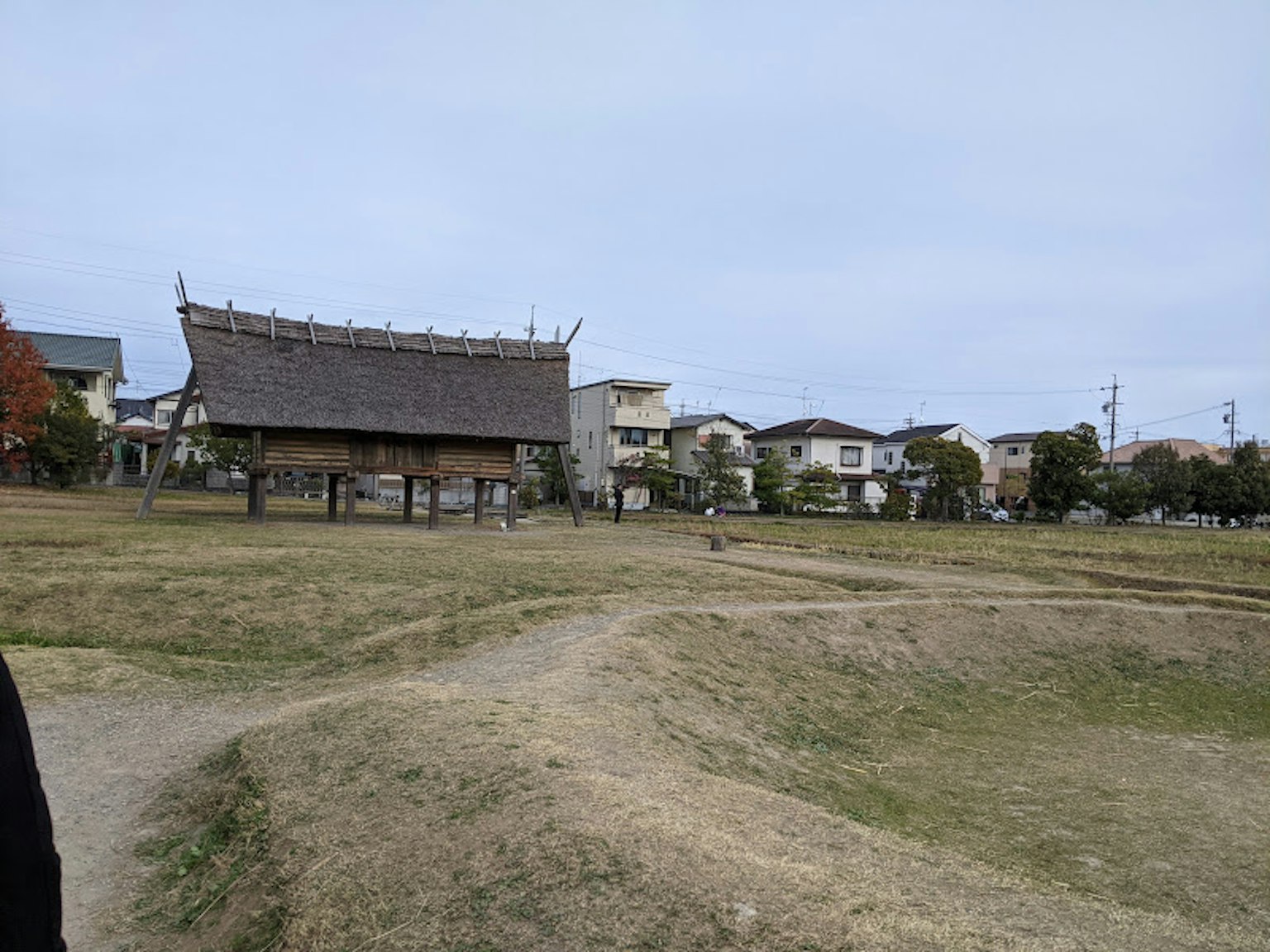 寬廣公園中的傳統日本建築和住宅
