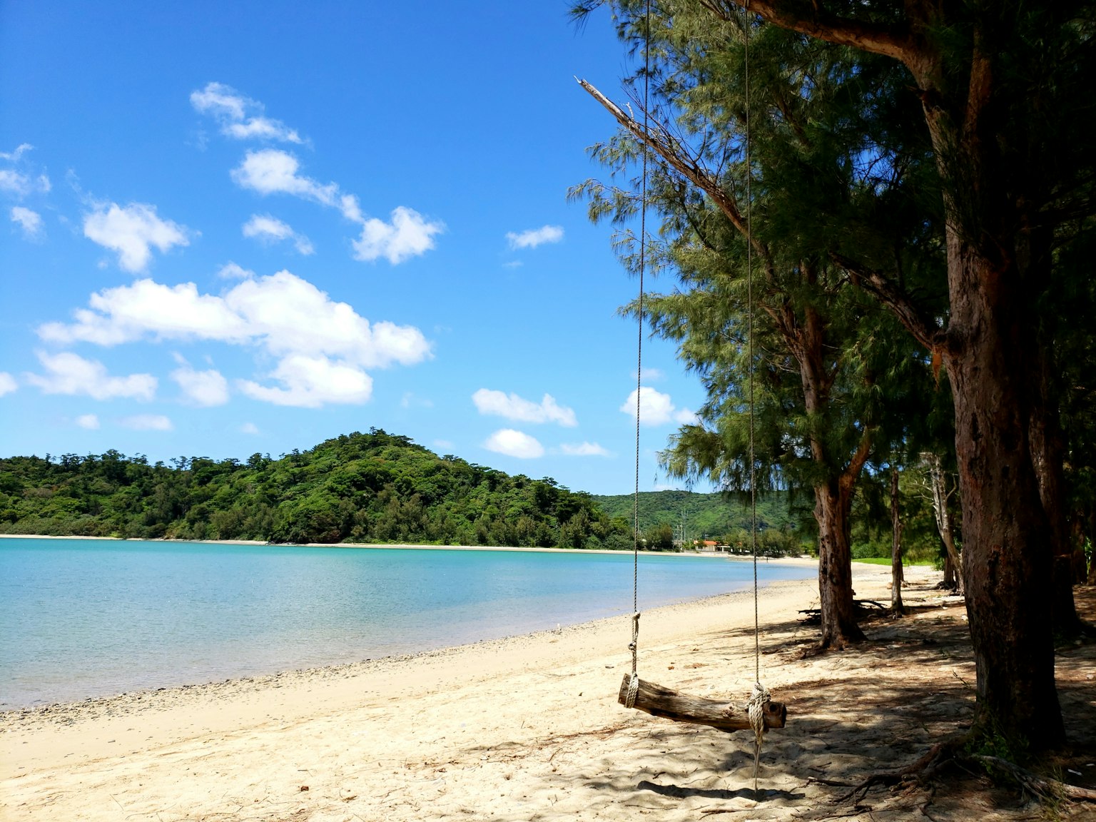 Pantai indah dengan ayunan di bawah langit biru dan pepohonan