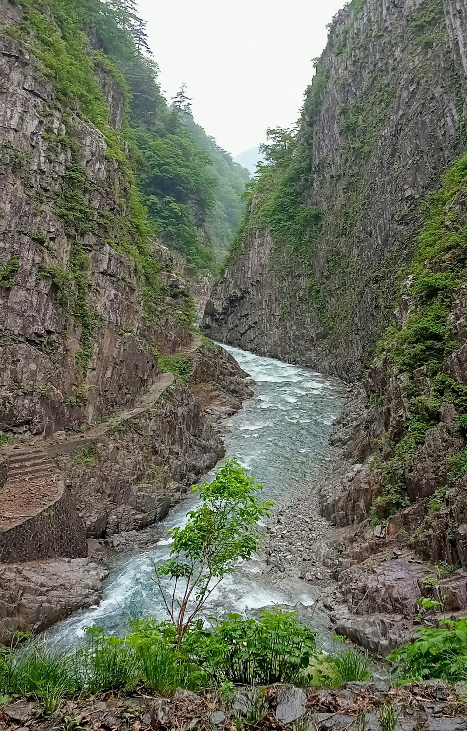 Un río serpenteante a través de un estrecho desfiladero rodeado de acantilados verdes