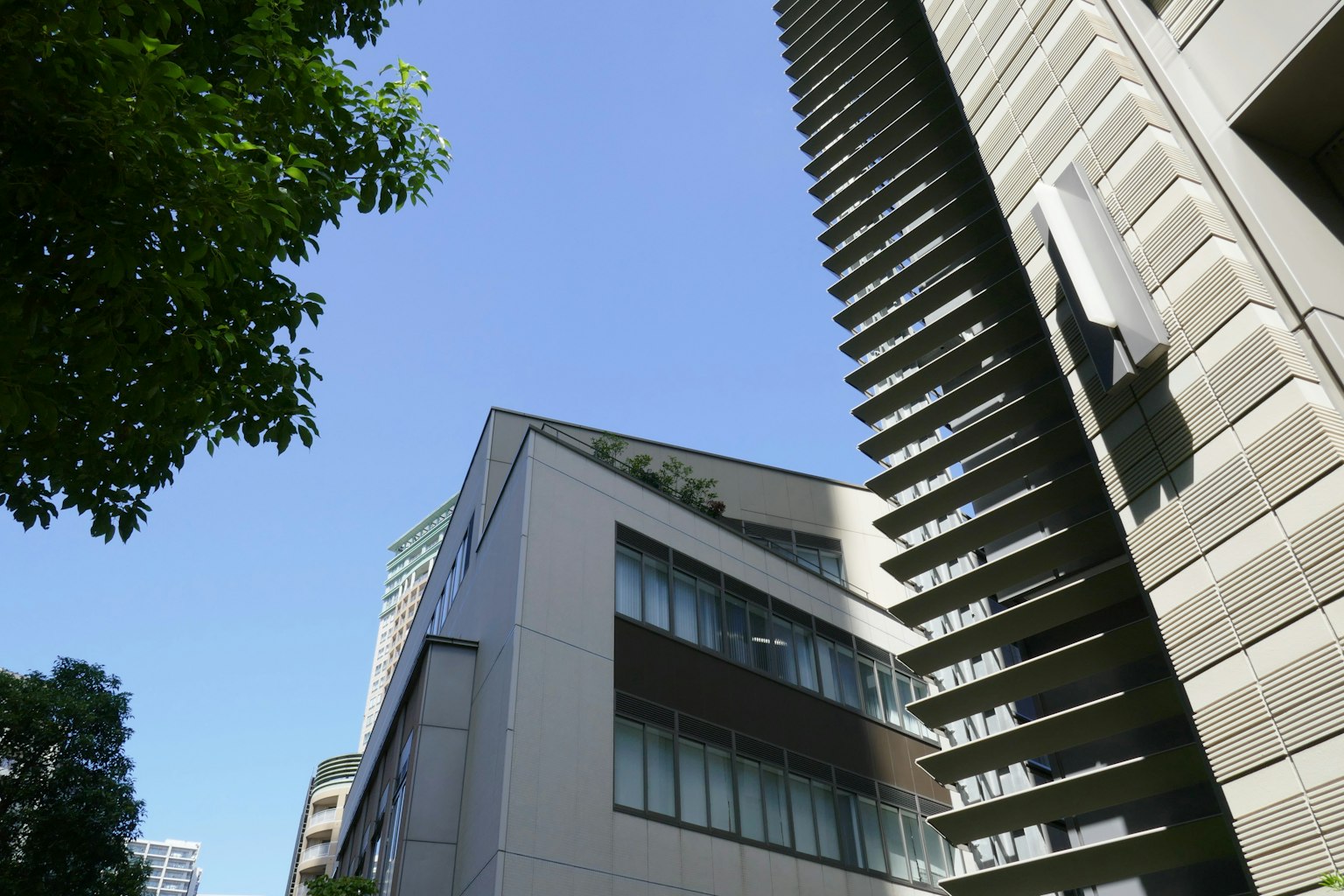 Eksterior gedung modern di bawah langit biru dengan pepohonan