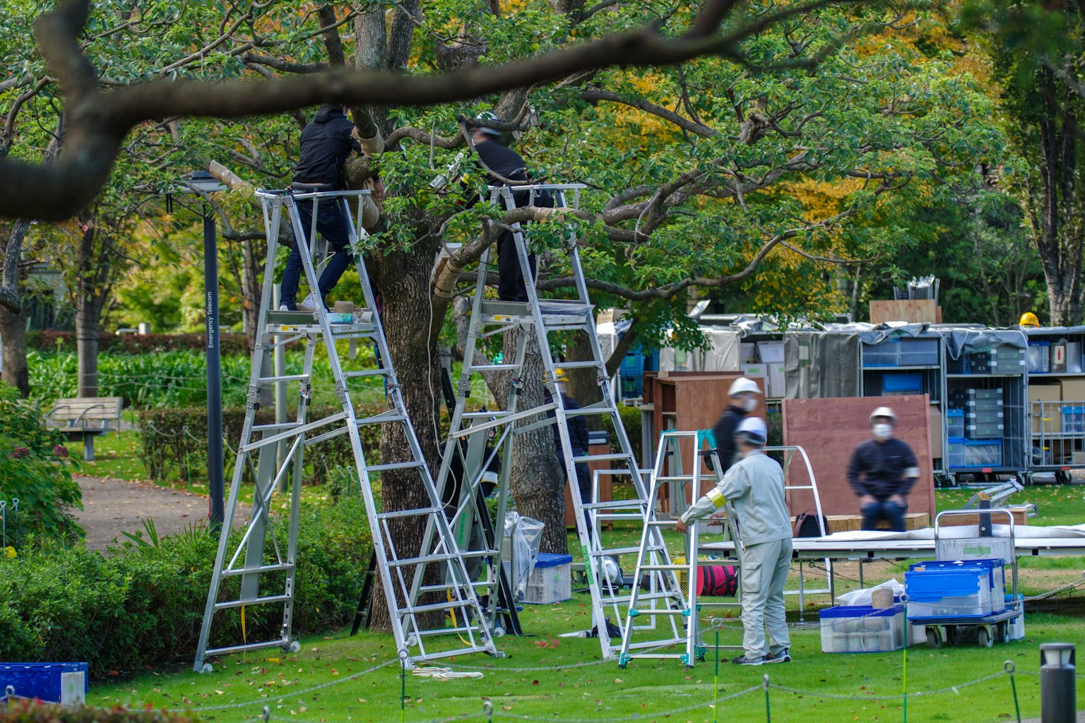 Arbeiter in Uniformen, die Aufgaben in einem Park mit Leitern auf grünem Gras ausführen