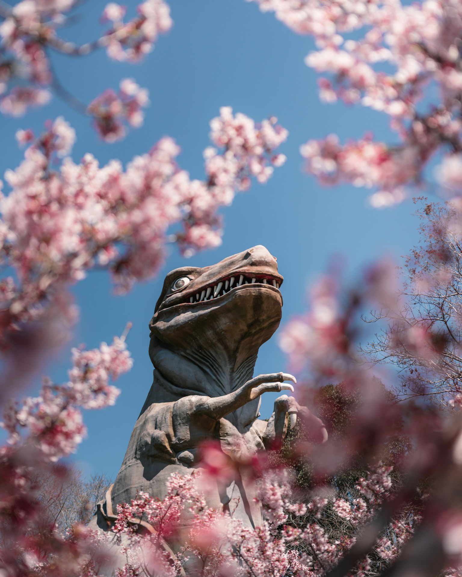Statua di dinosauro circondata da ciliegi in fiore contro un cielo blu