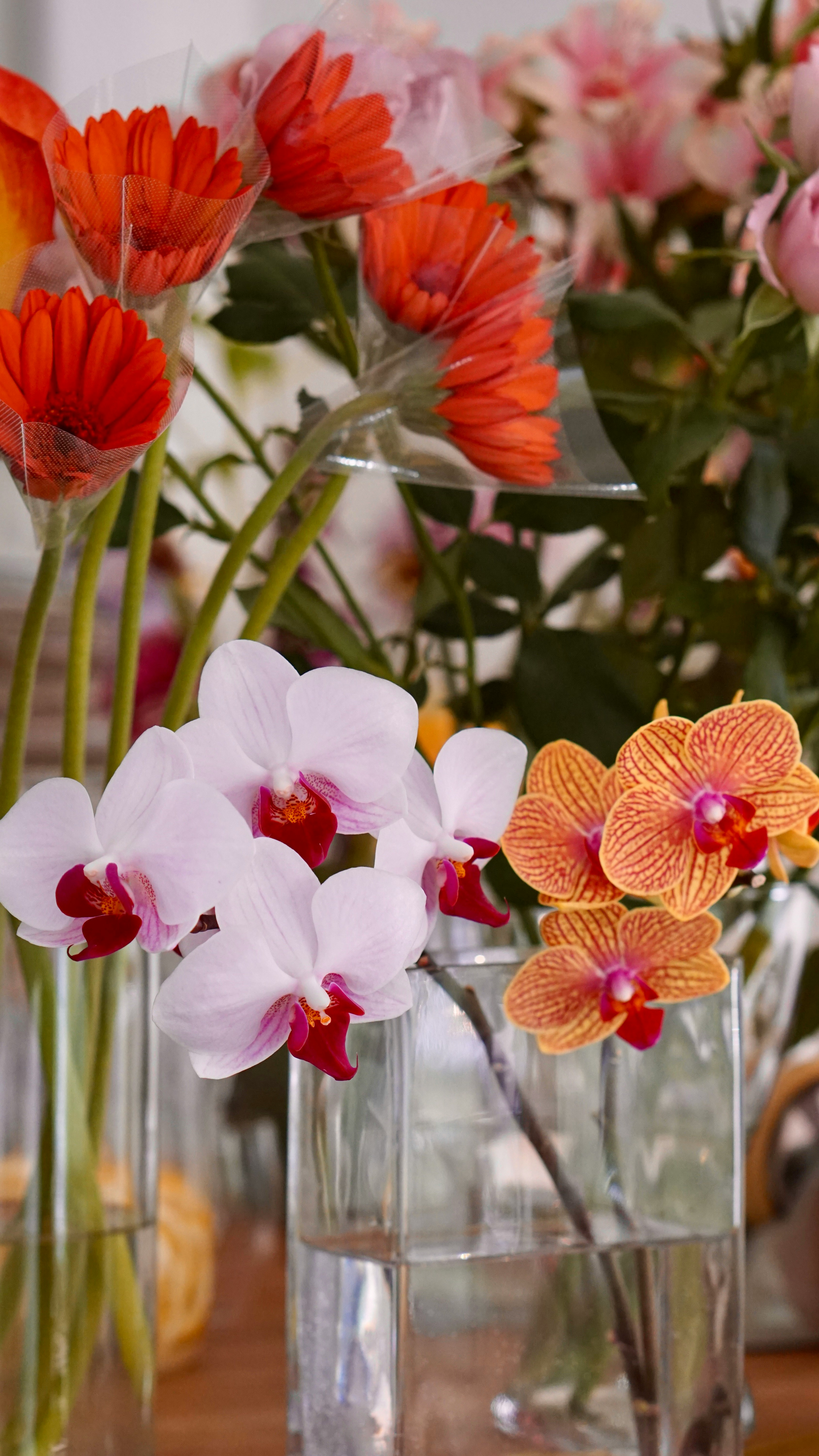 花瓶に生けられたオレンジと白の蘭の花