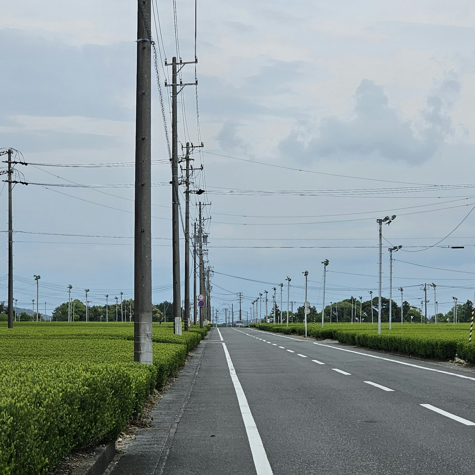 Una strada tranquilla fiancheggiata da campi di tè verdi e pali elettrici