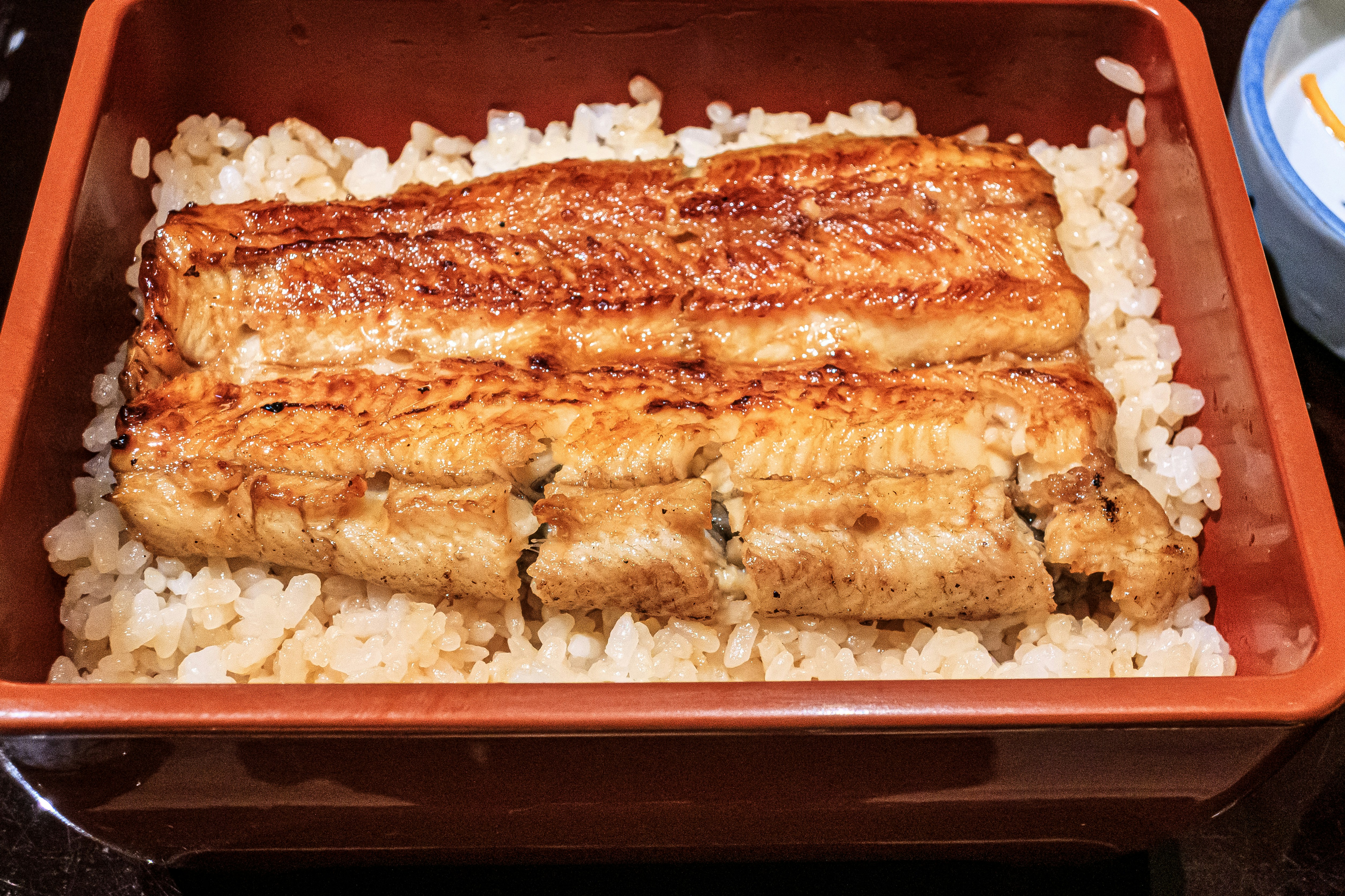 弁当箱に盛られたうなぎの蒲焼きと白ご飯