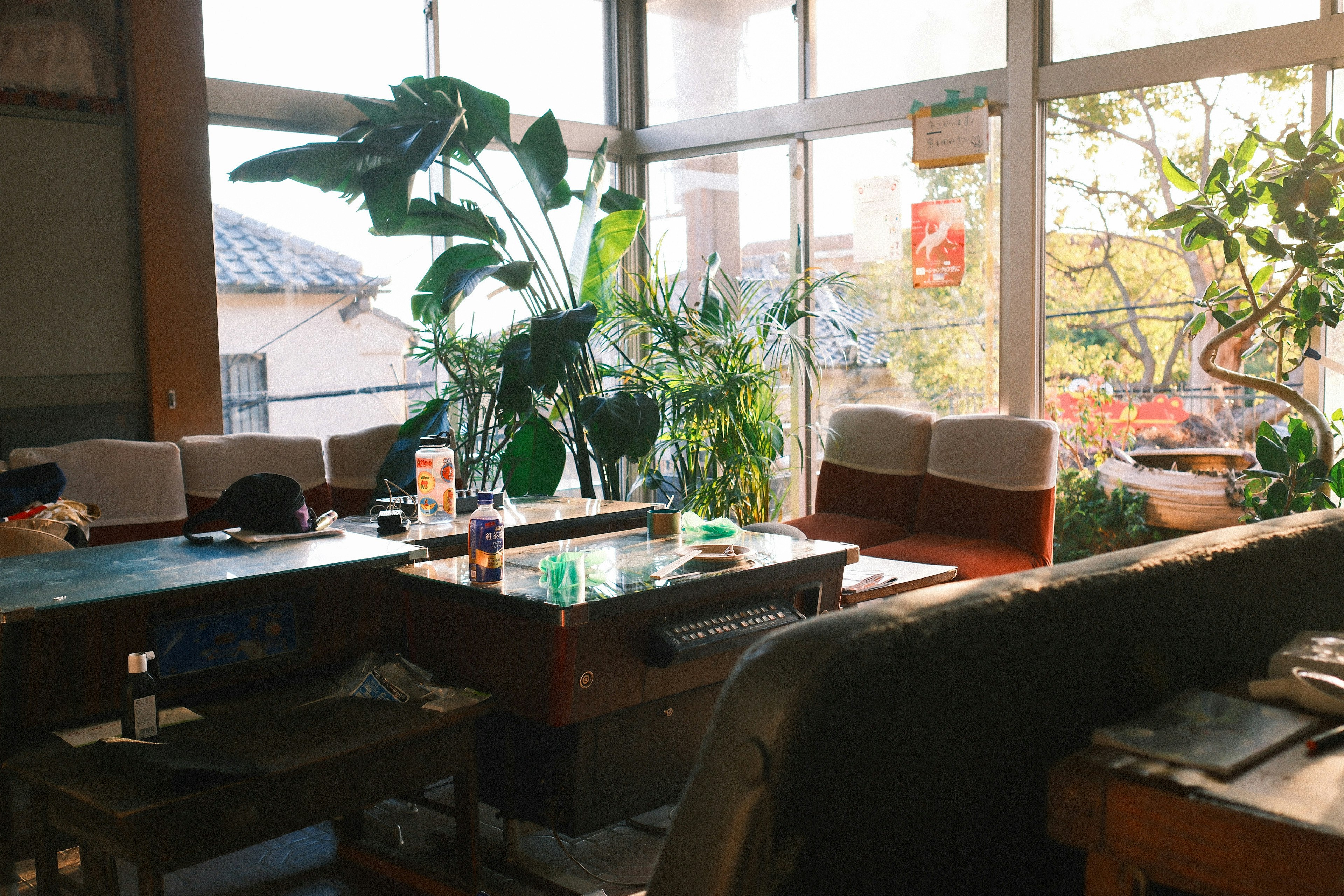 窓辺の観葉植物とカフェのテーブル席