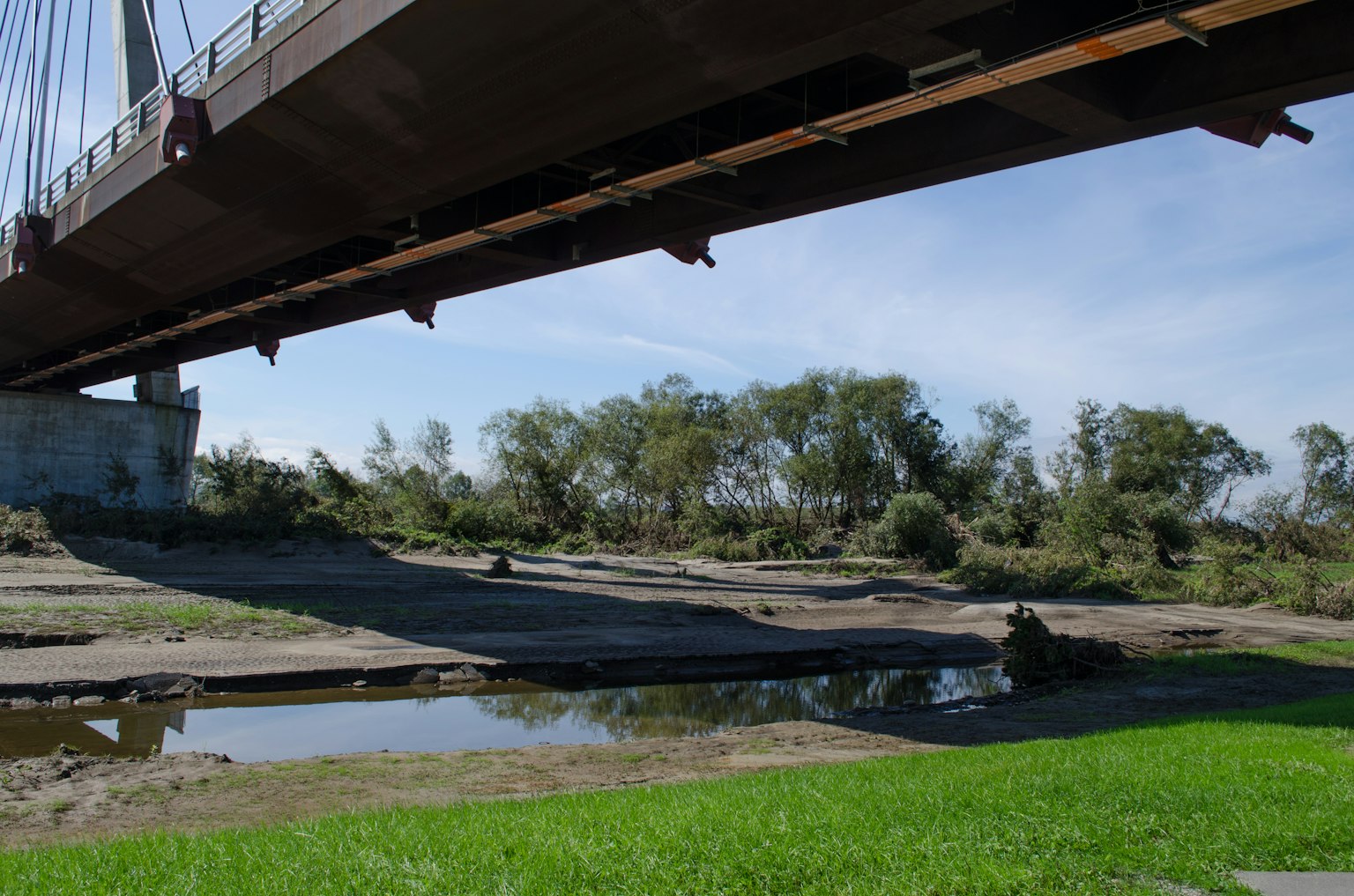 Vista de un puente colgante sobre un área cubierta de hierba y charcos abajo