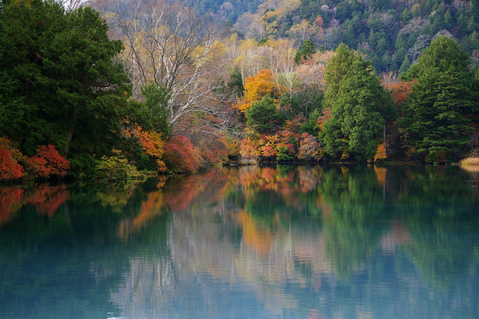 Lago panoramico circondato da fogliame autunnale e alberi