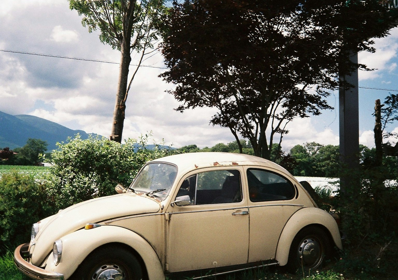 An old Volkswagen Beetle parked on green grass with trees in the background