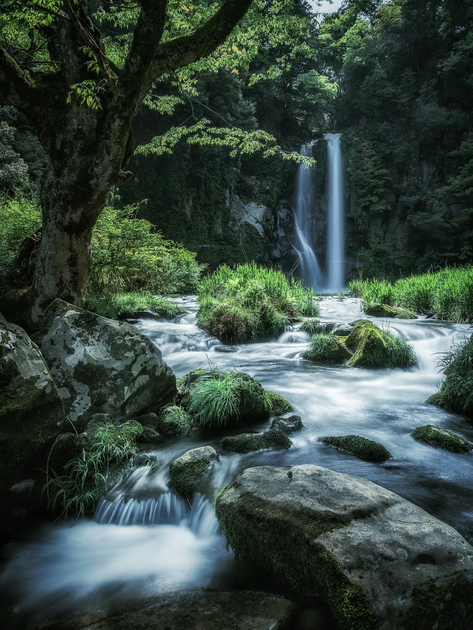 Pemandangan alam yang indah dengan air terjun dan vegetasi yang subur