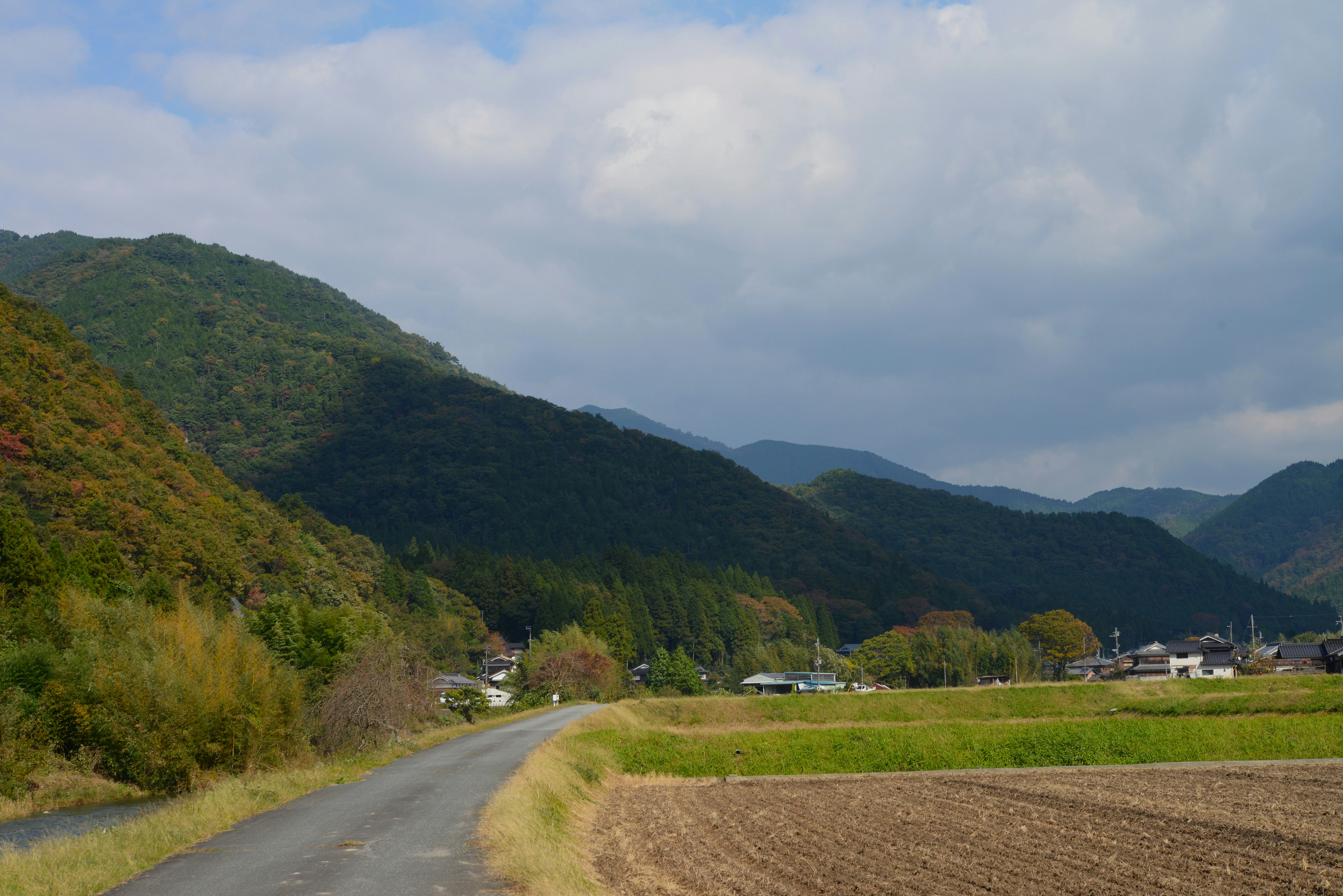 山間の道と畑が続く風景