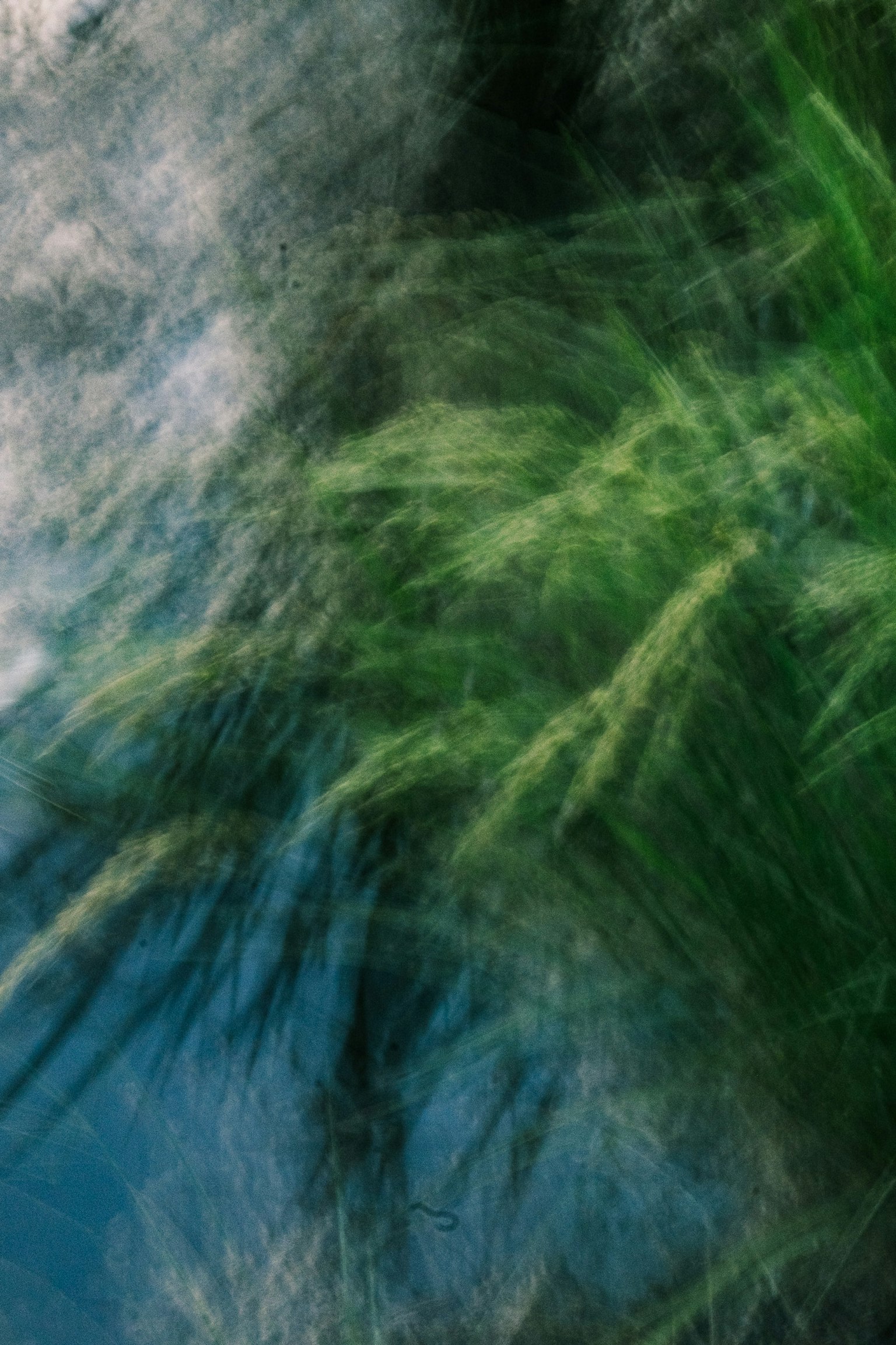Imagen abstracta de hierba verde meciéndose bajo un cielo azul