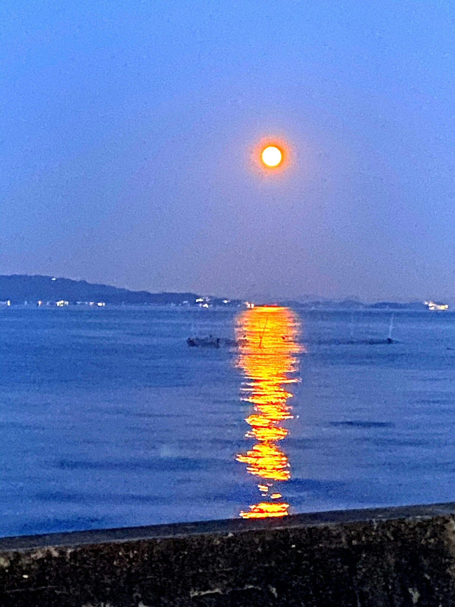 Bellissimo paesaggio con una luna arancione che si riflette sull'acqua sotto un cielo notturno blu