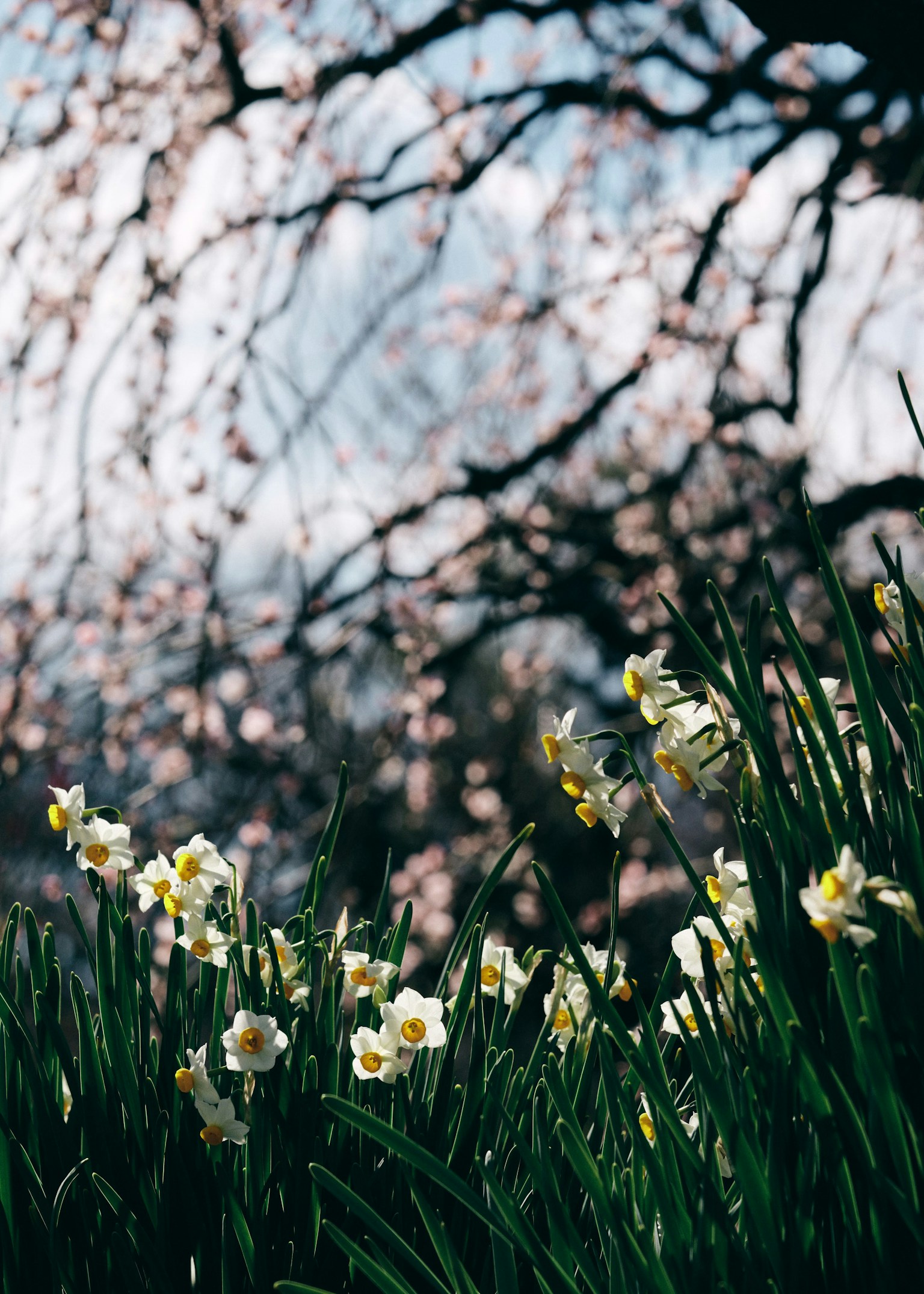 photo-4N3rF71JKynu86b8MxlM-image