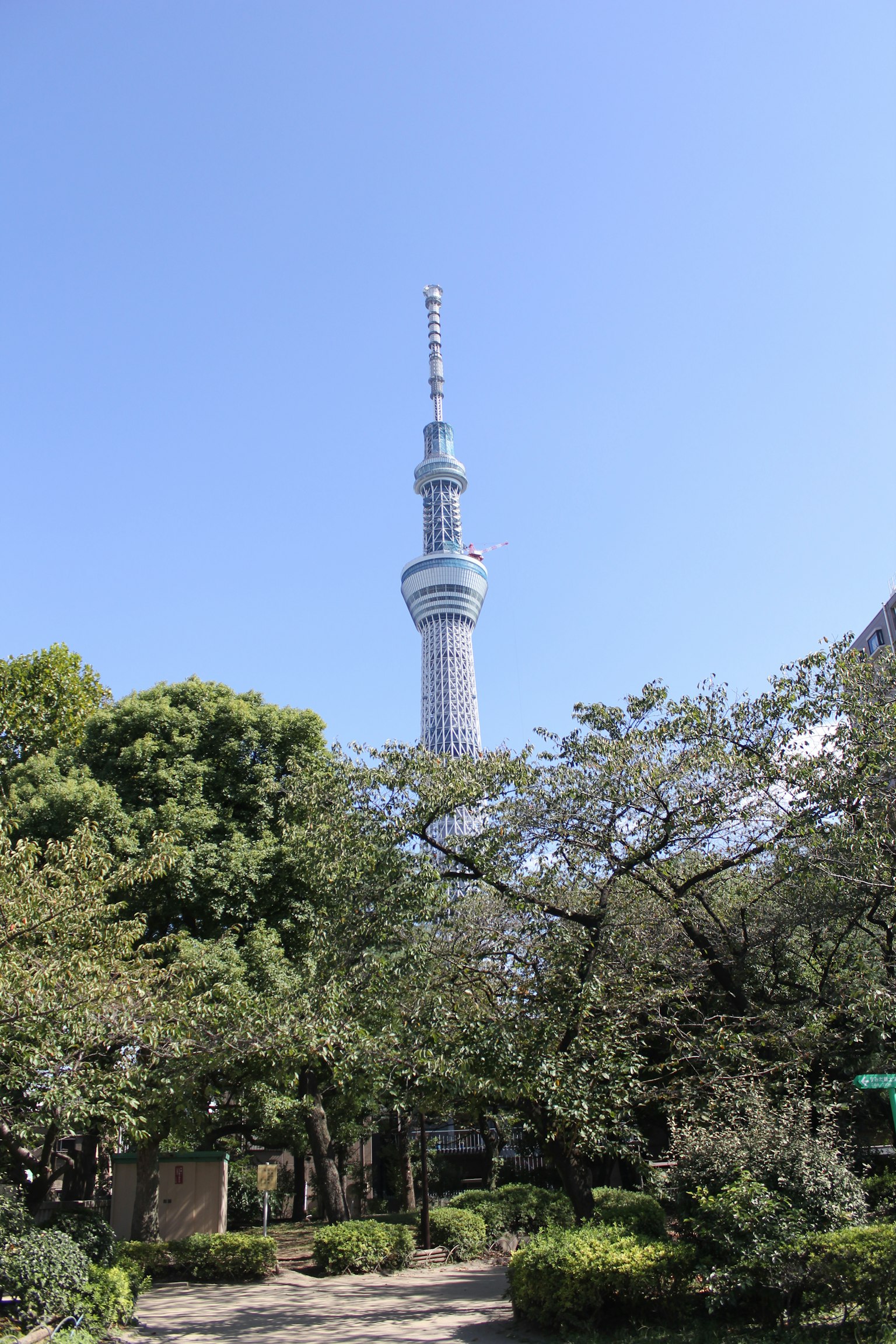 Tokyo Skytree towering under a clear blue sky