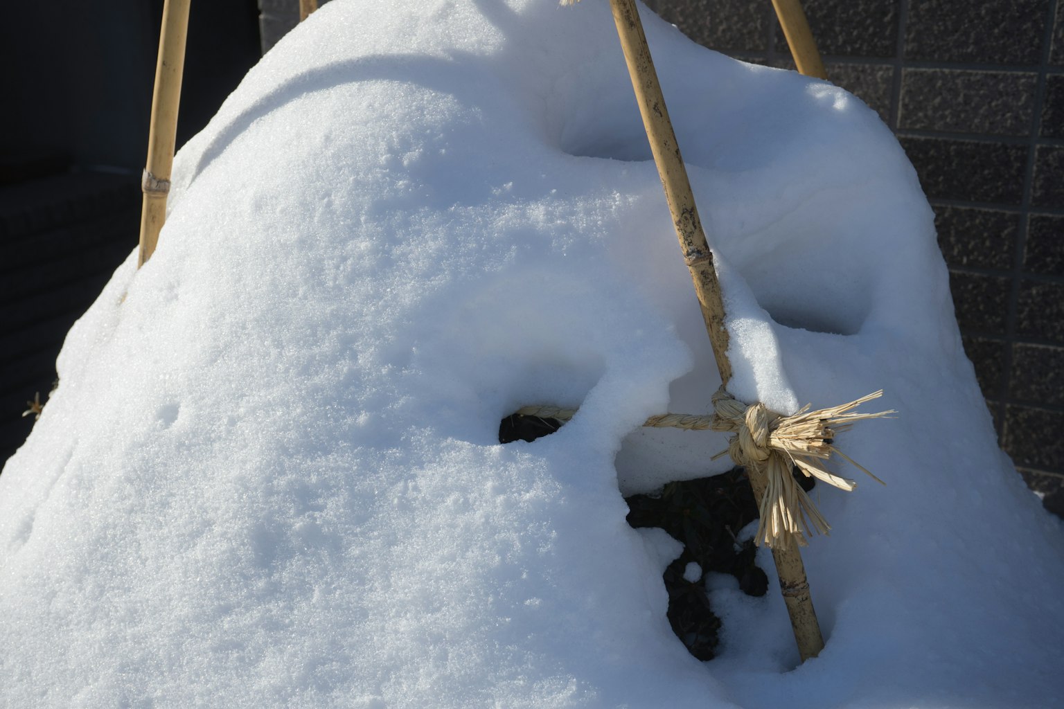 Monticule de neige avec des supports en bambou dans un cadre hivernal